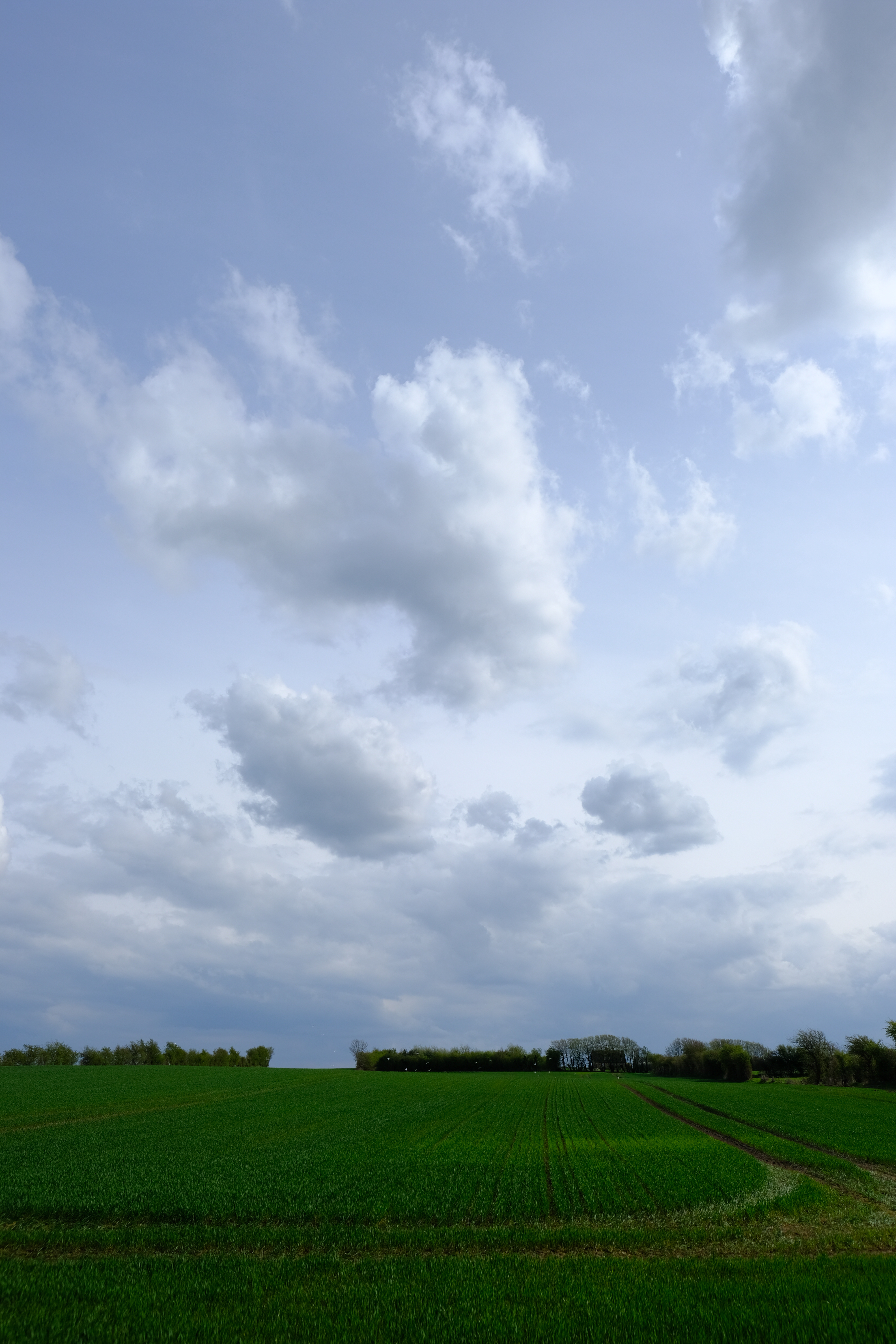Handy-Wallpaper Clouds, Natur, Grass, Horizont, Feld kostenlos herunterladen.