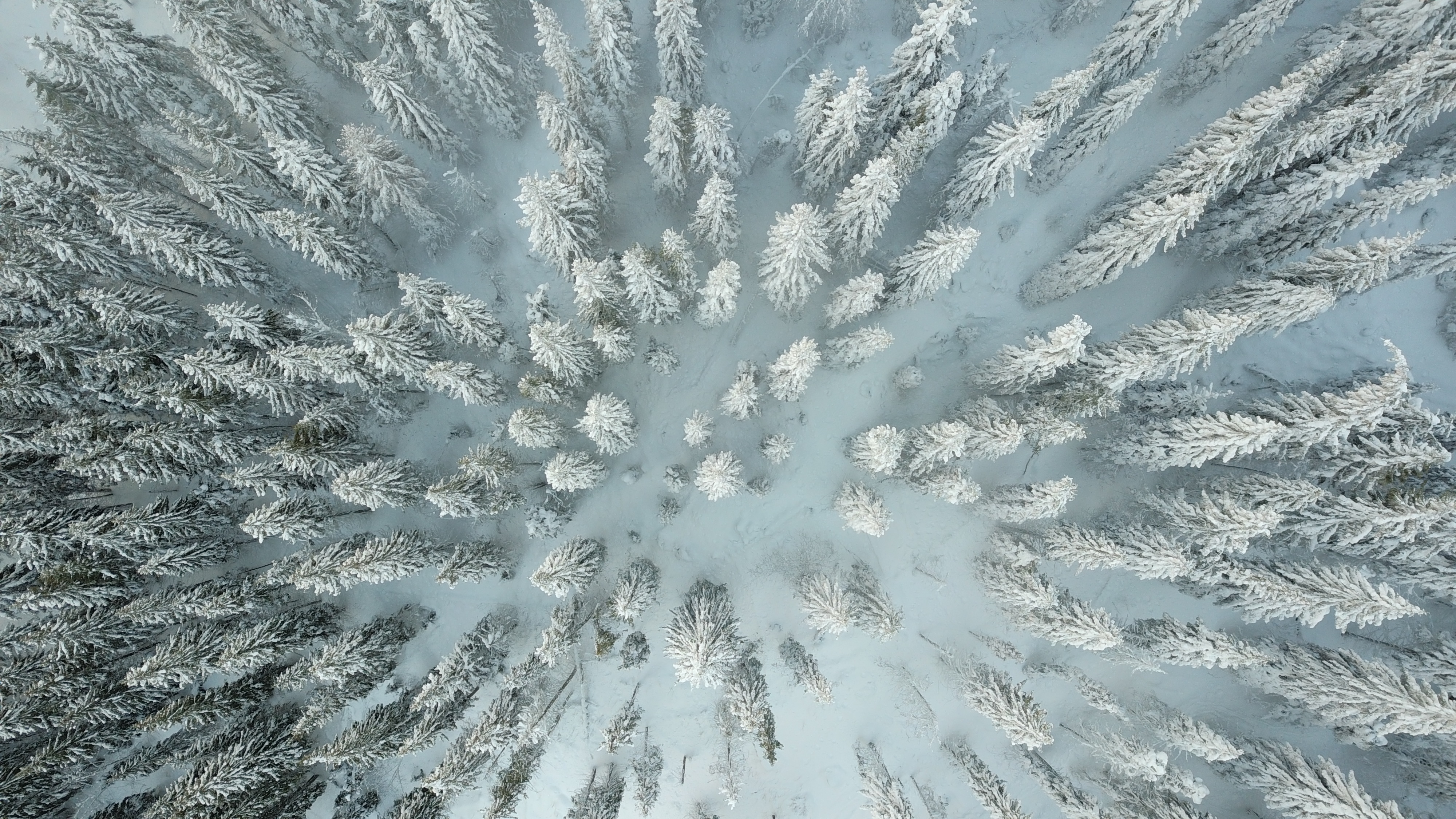 Download mobile wallpaper Winter, Forest, Photography, Aerial for free.
