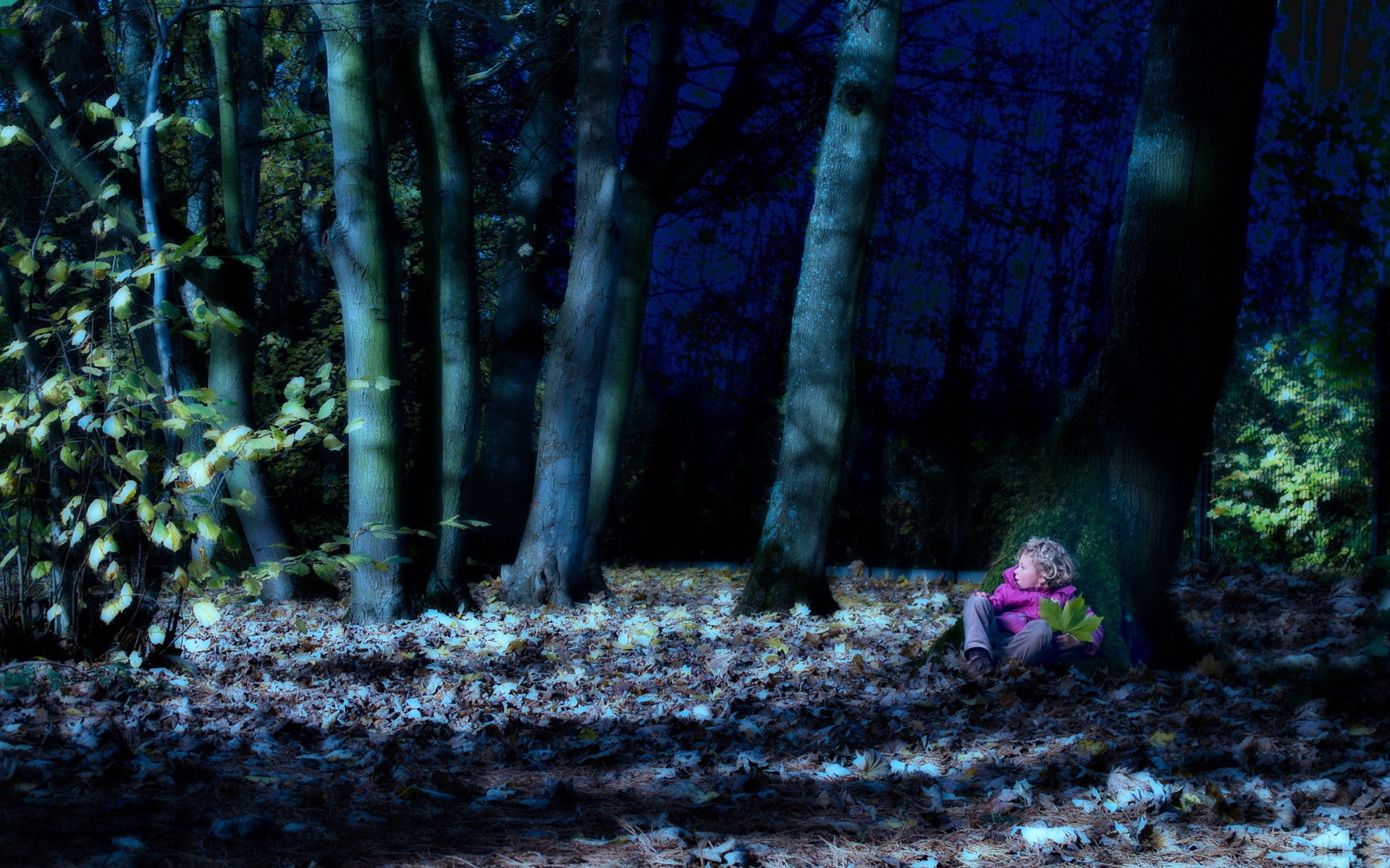 Free download wallpaper Night, Forest, Fall, Earth, Child, Photography on your PC desktop