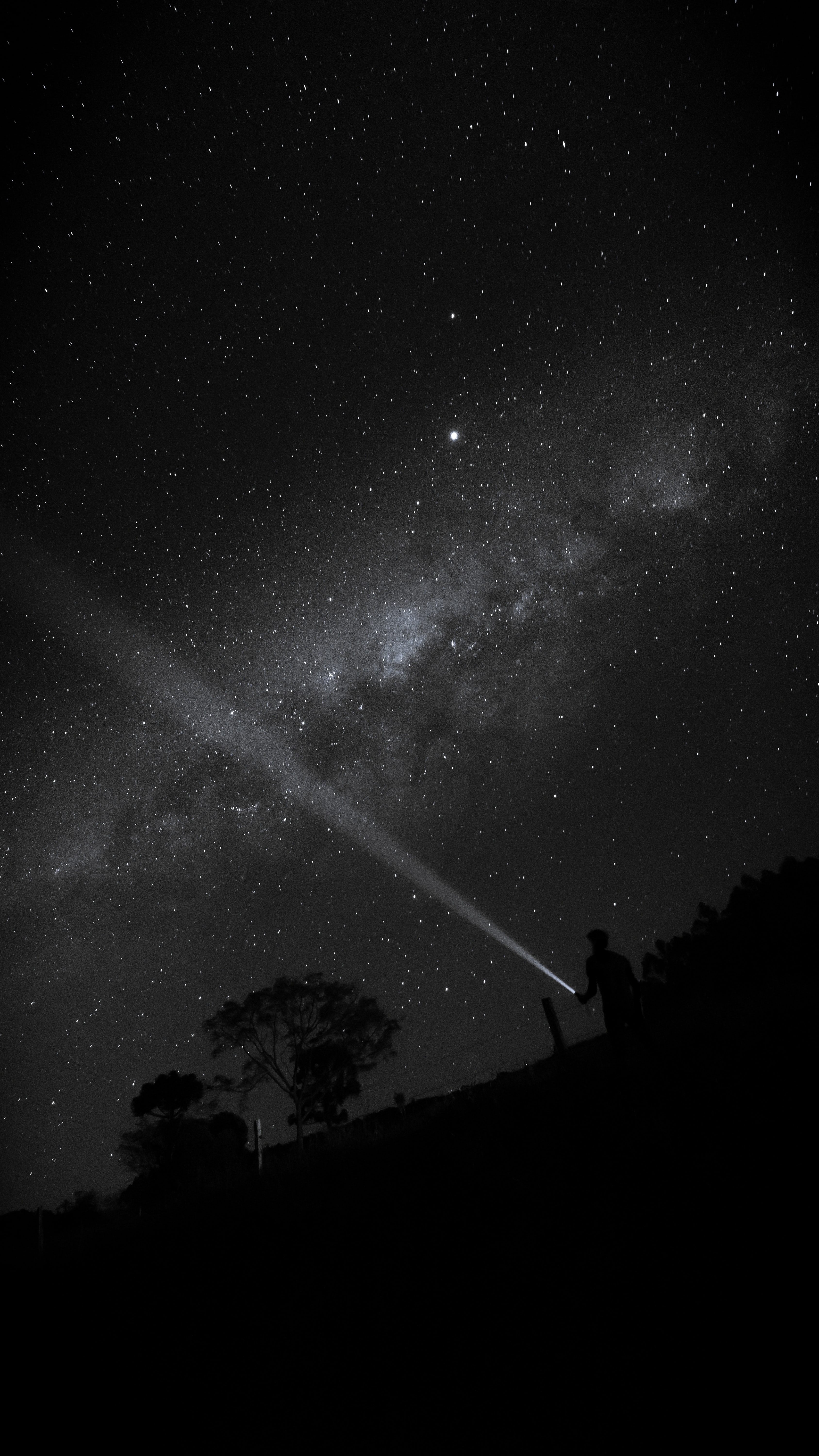 flashlight, glow, flowers, night, starry sky, human, person Smartphone Background