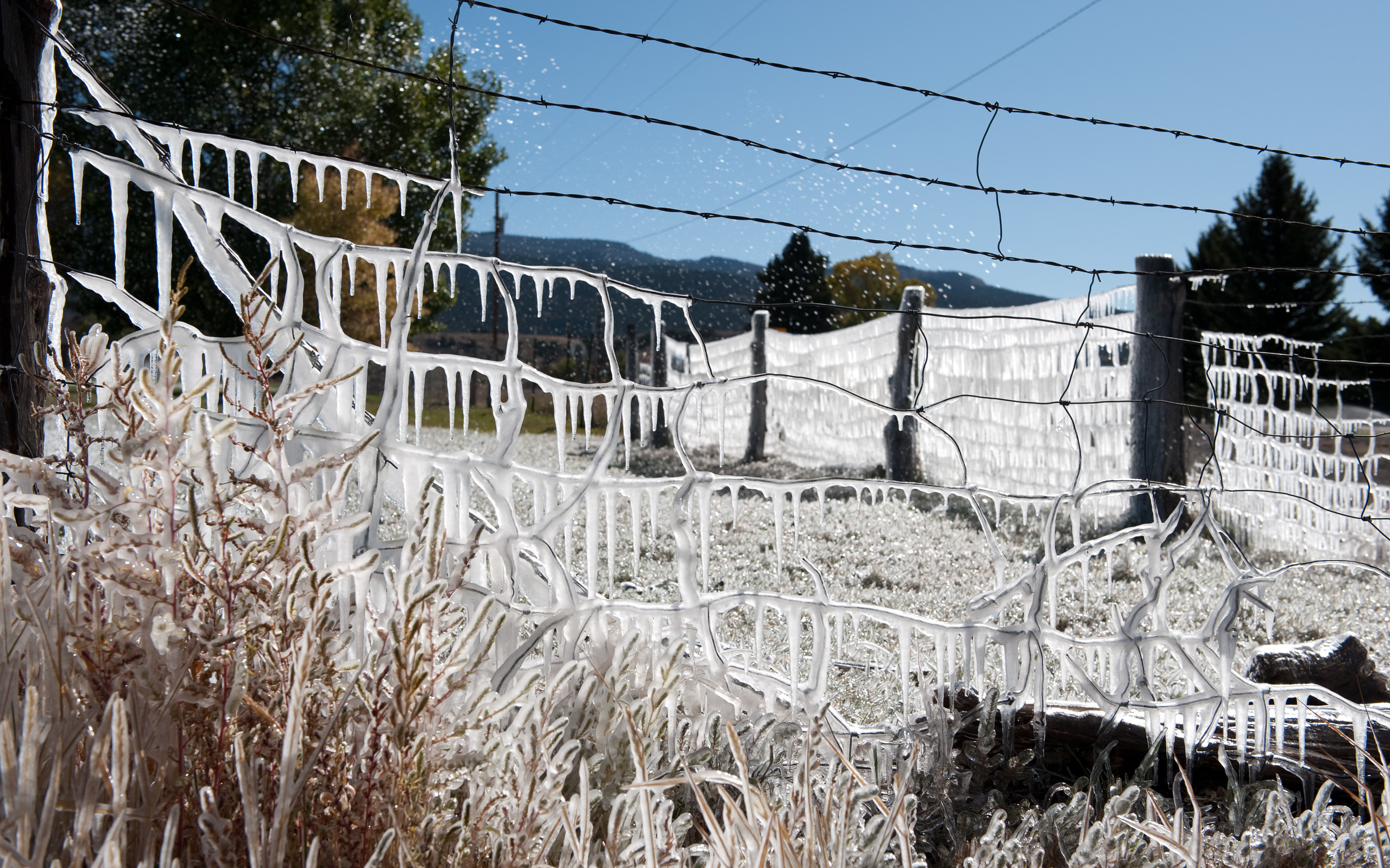 Laden Sie das Winter, Fotografie-Bild kostenlos auf Ihren PC-Desktop herunter