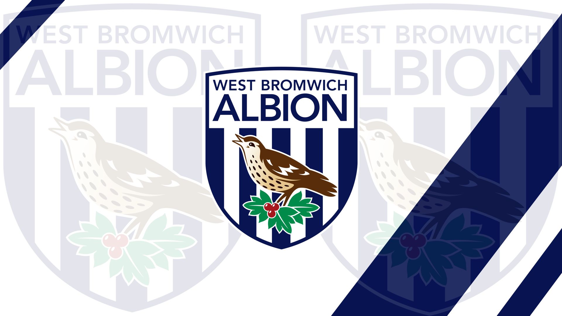 Handy-Wallpaper Sport, Fußball, Logo, Emblem, West Bromwich Albion Fc kostenlos herunterladen.