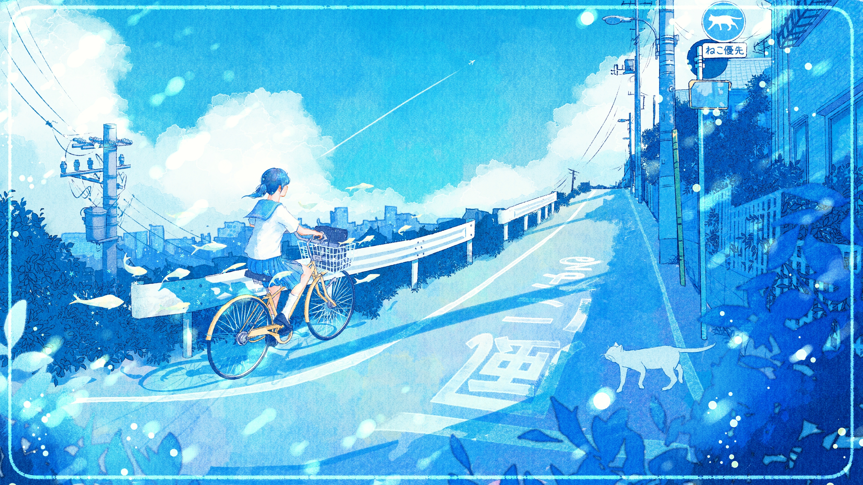 Free download wallpaper Anime, Cat, Girl, Bicycle, Ponytail on your PC desktop