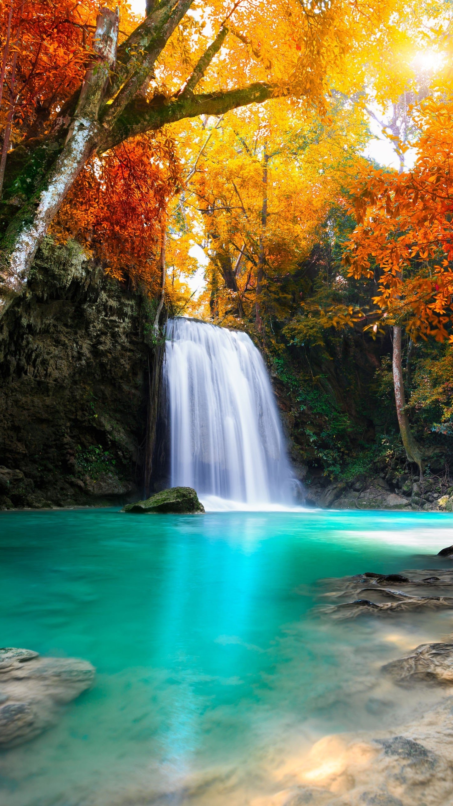 Baixe gratuitamente a imagem Outono, Cachoeiras, Floresta, Árvore, Cair, Terra, Terra/natureza, Cachoeira na área de trabalho do seu PC