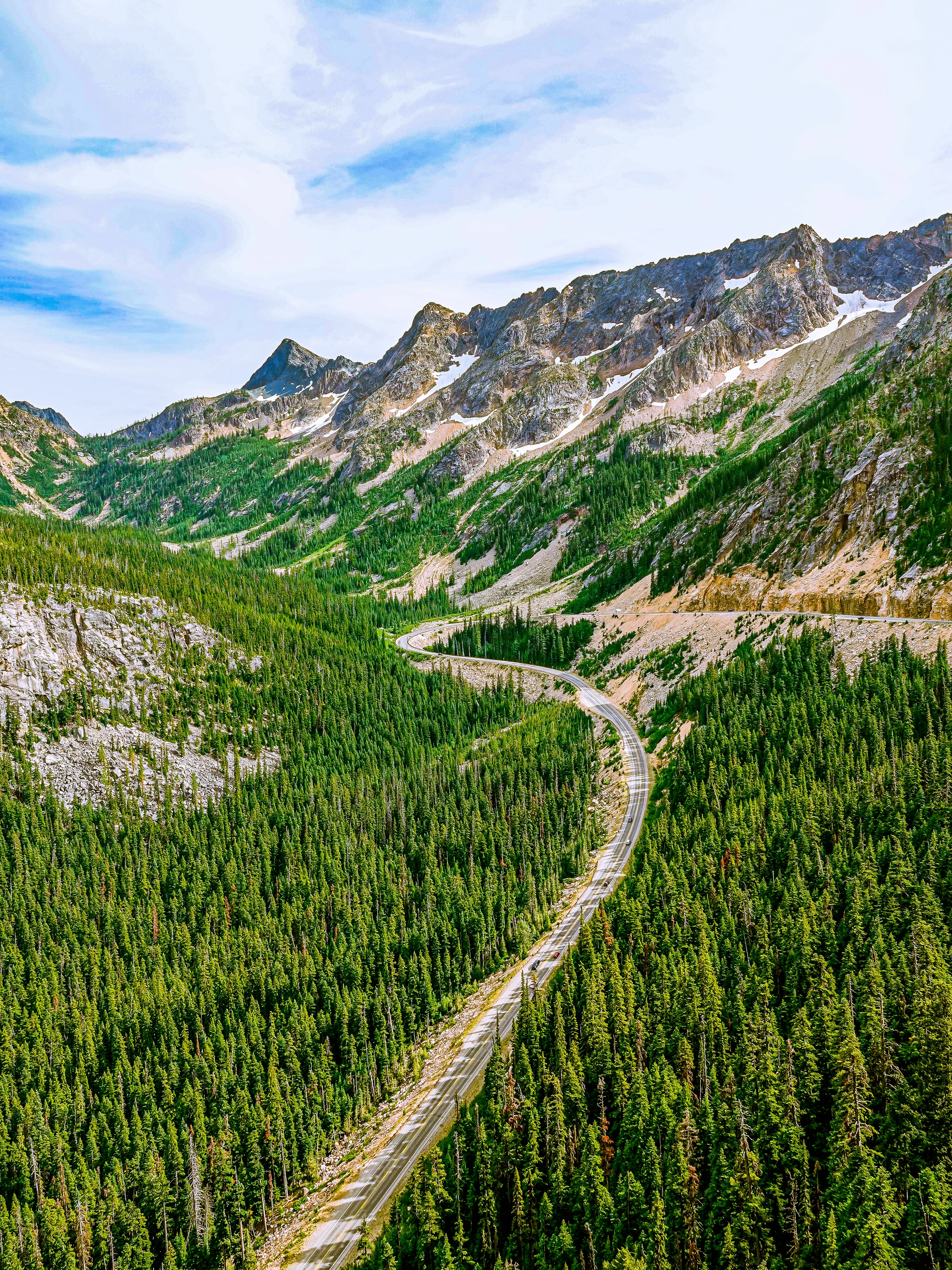 forest, nature, mountains, road, spruce, fir, winding, sinuous
