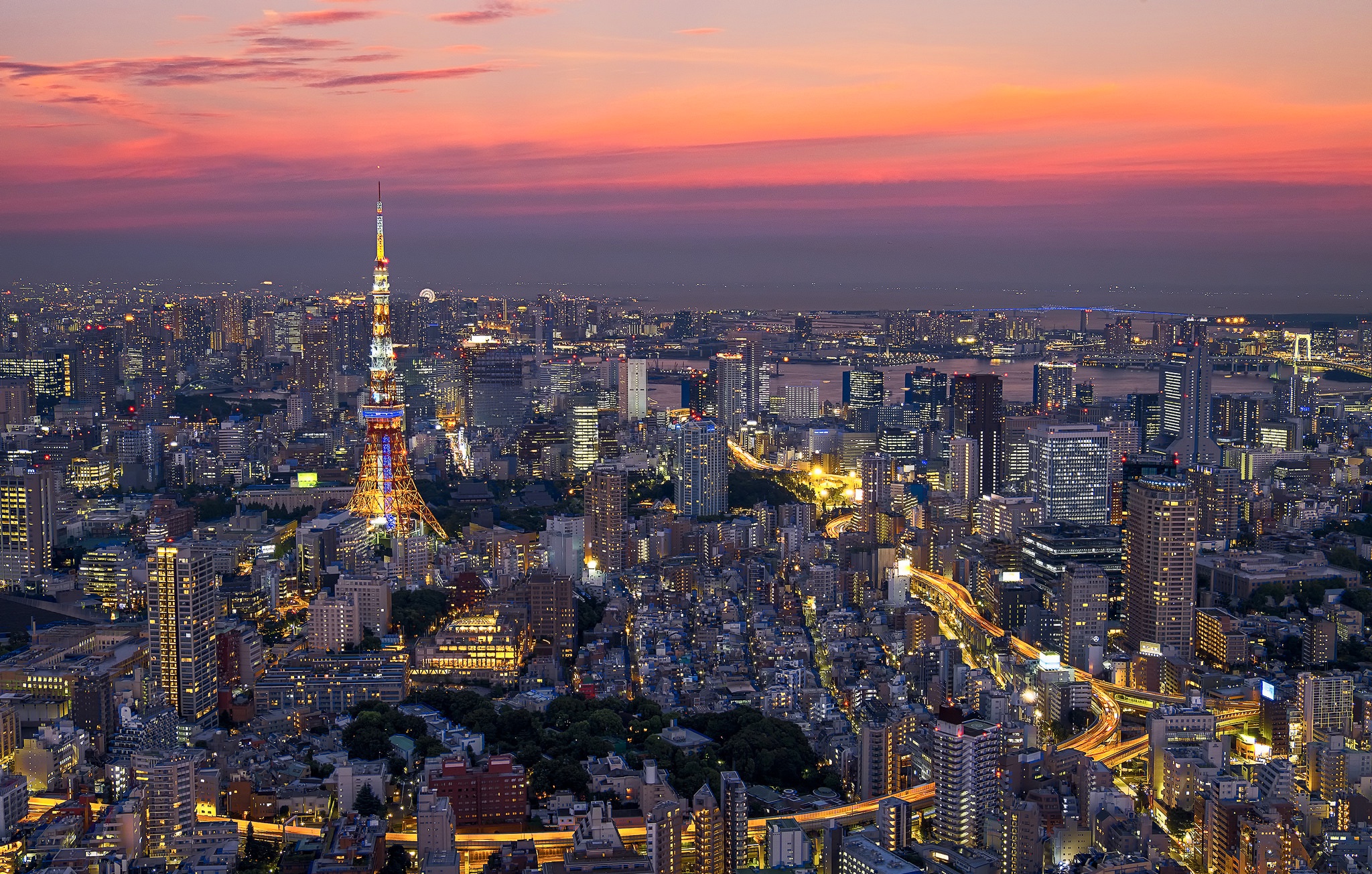 tokyo, japan, man made, building, city, cityscape, night, skyscraper, tokyo tower, cities