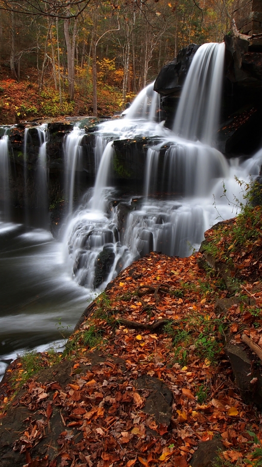 Download mobile wallpaper Nature, Waterfalls, Waterfall, Leaf, Fall, Earth for free.