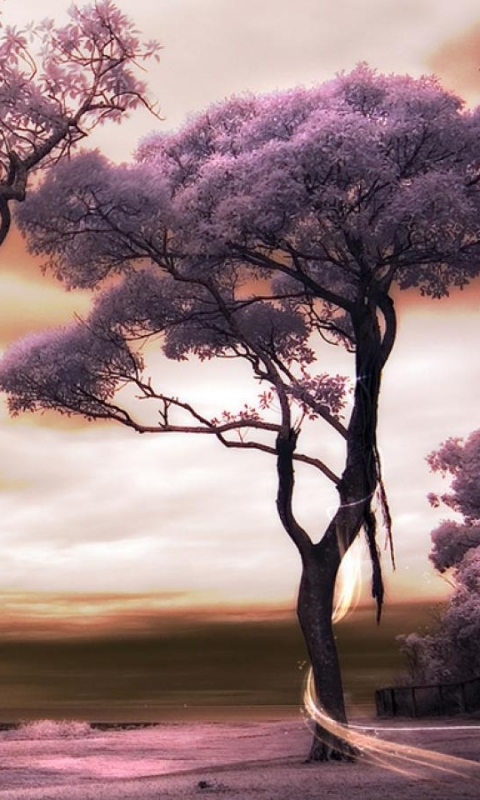 Download mobile wallpaper Landscape, Fantasy, Tree for free.