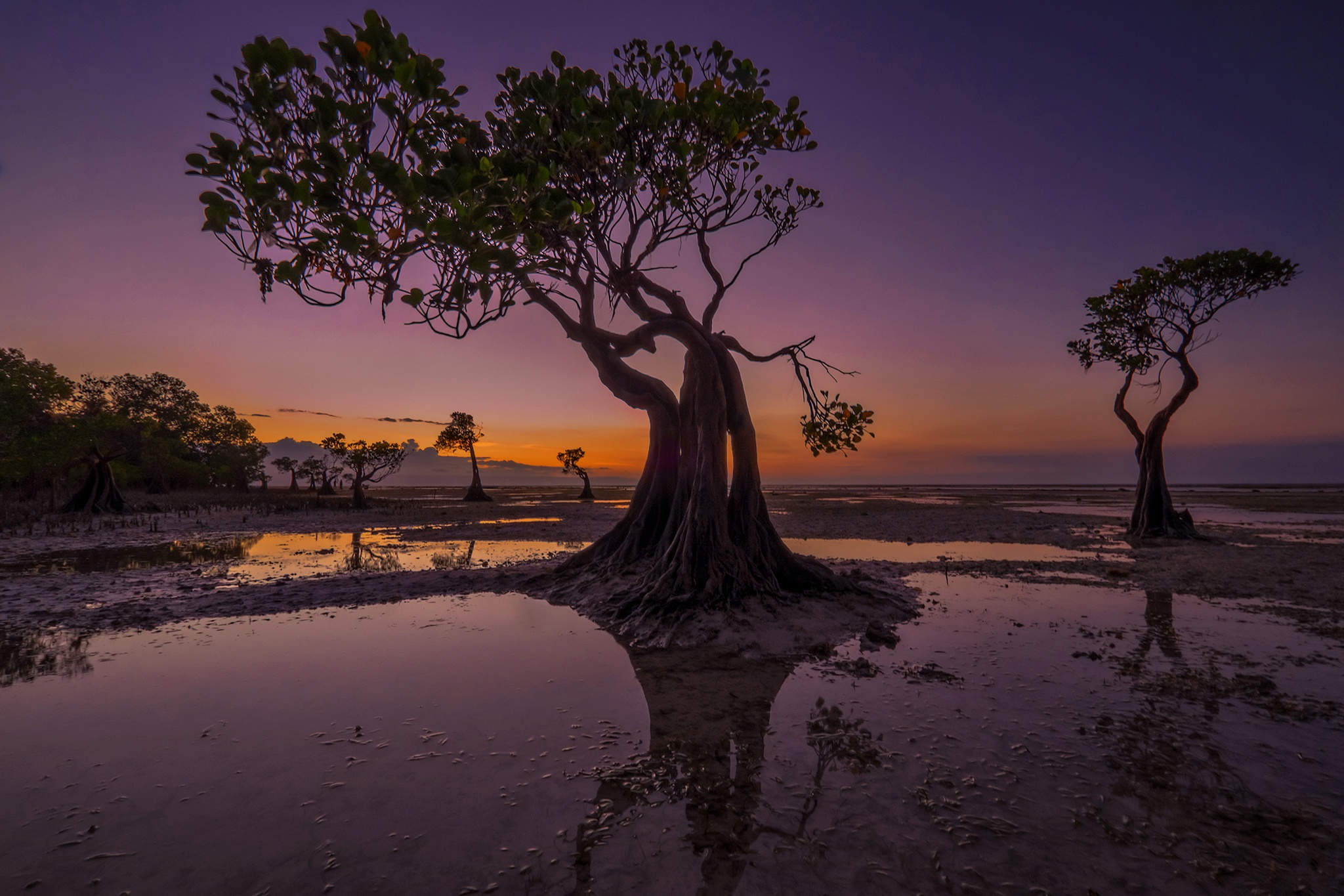 Baixe gratuitamente a imagem Terra/natureza, Paisagem na área de trabalho do seu PC