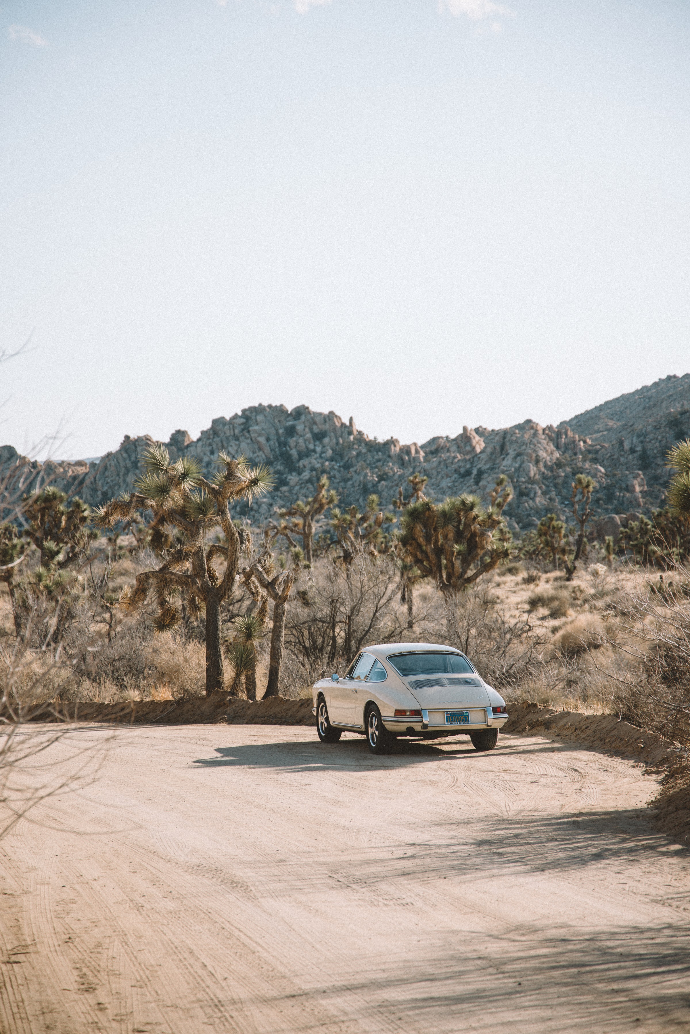 retro, white, cars, cactuses, road, car