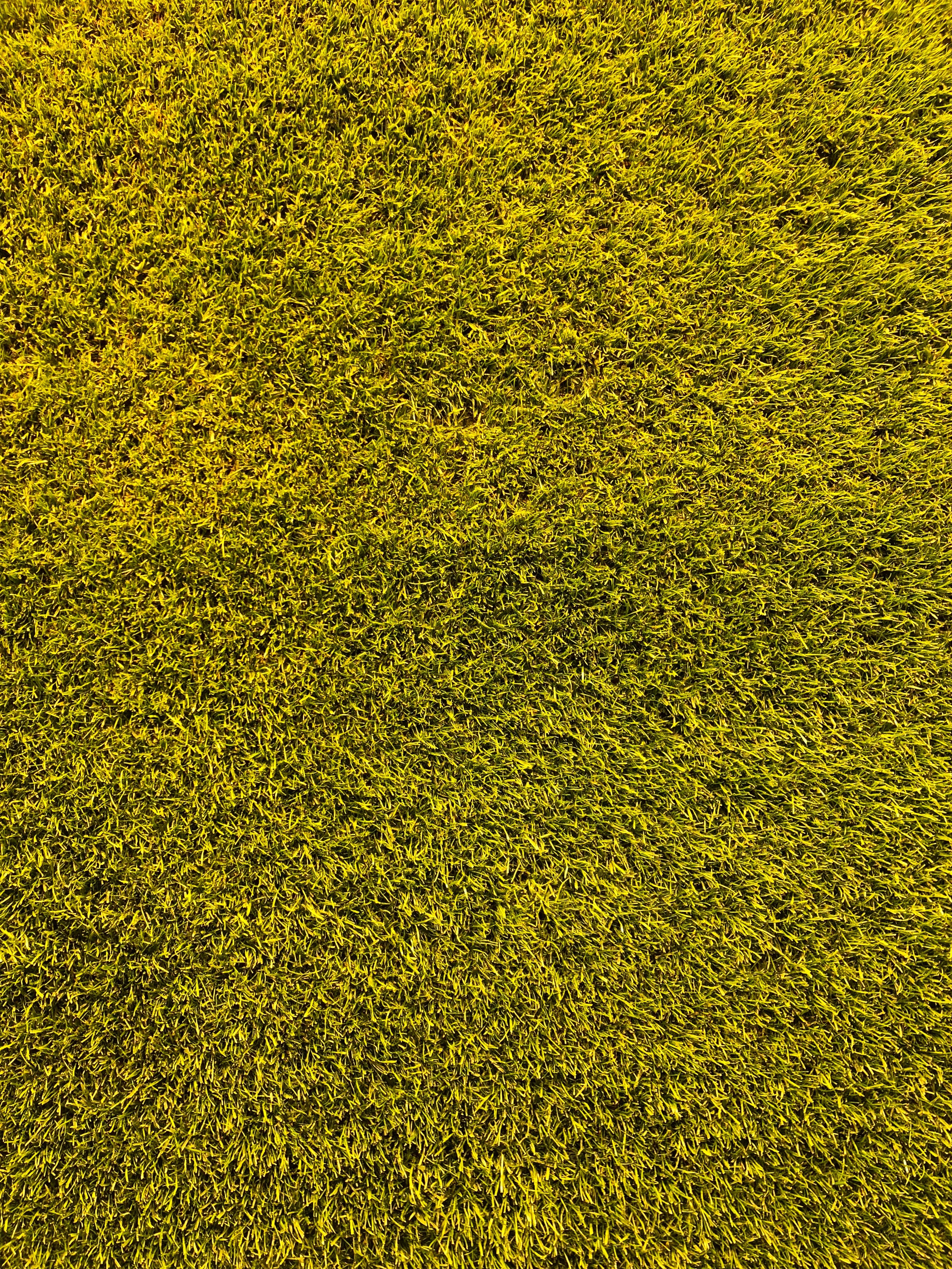 Free download wallpaper Grass, Lawn, Texture, Textures on your PC desktop