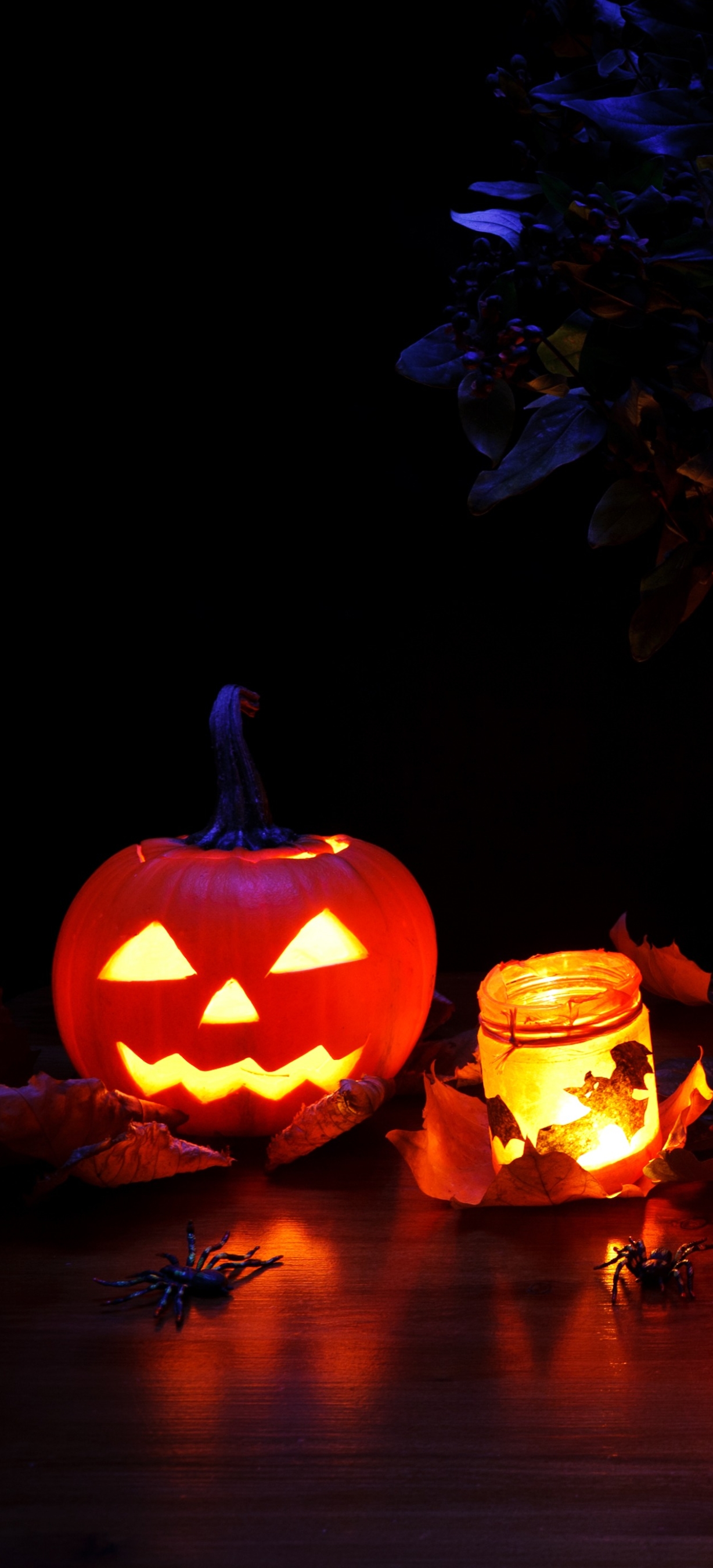 Download mobile wallpaper Halloween, Pumpkin, Holiday, Jack O' Lantern for free.