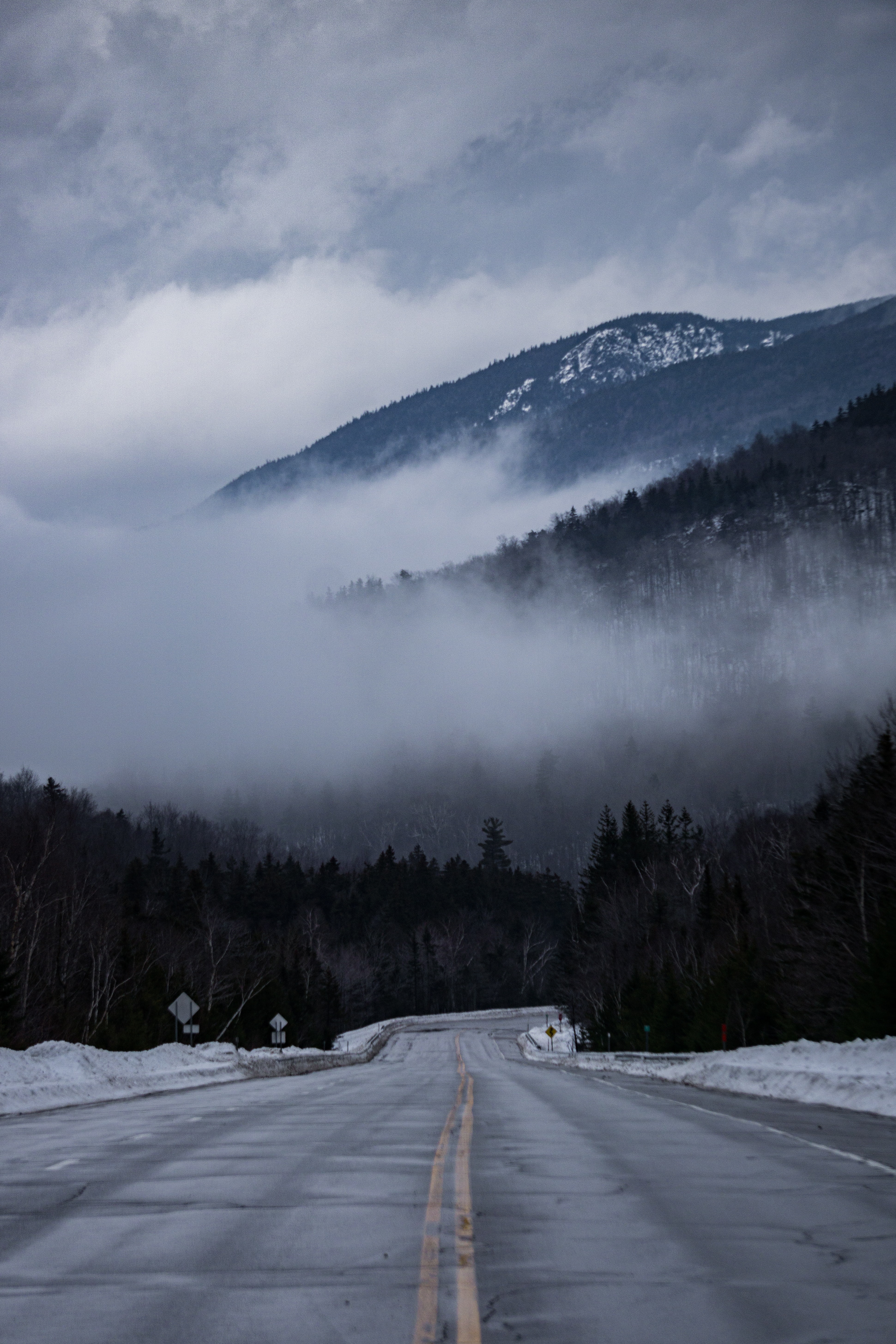 nature, trees, road, markup, fog, hills Image for desktop