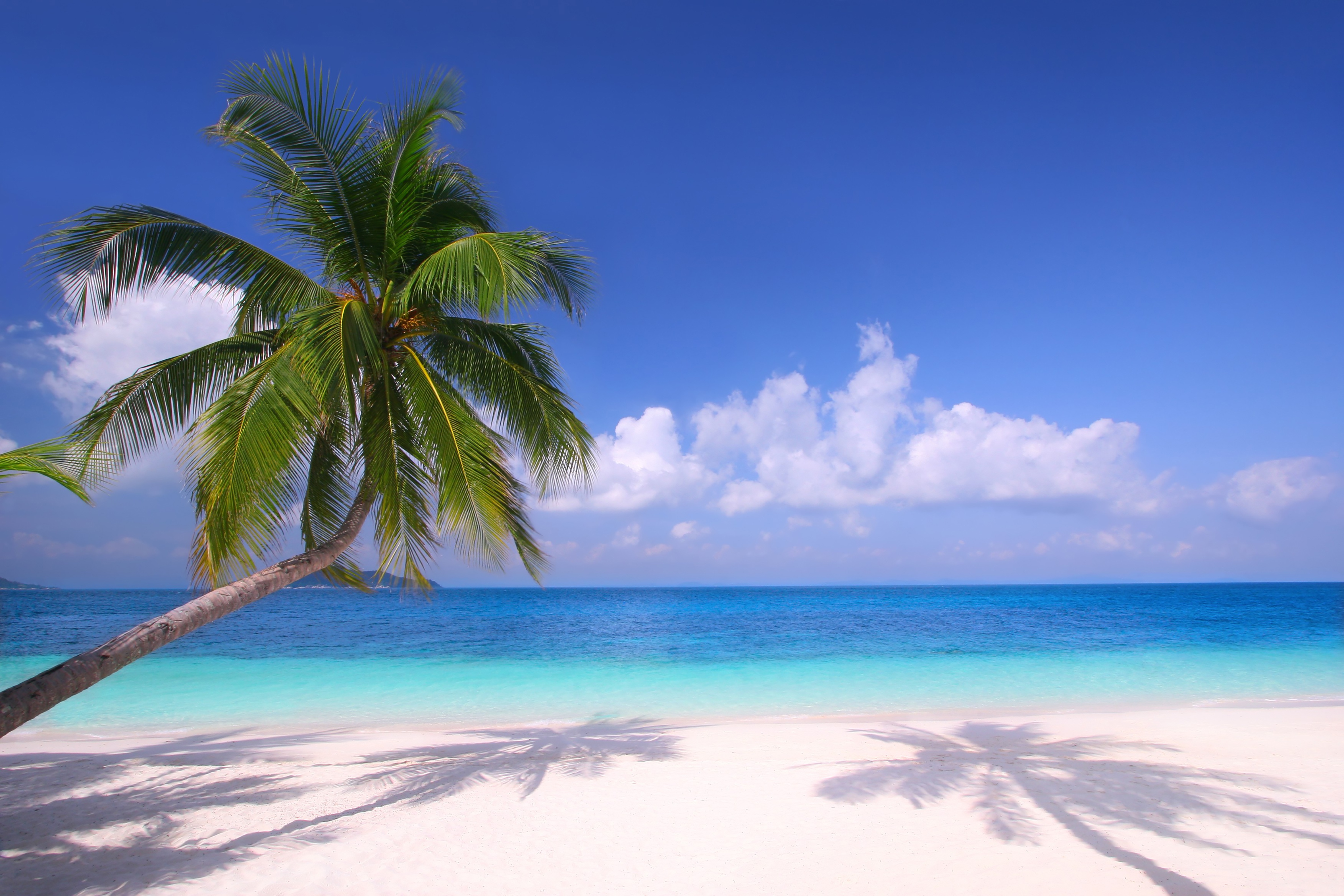 Download mobile wallpaper Sky, Horizon, Ocean, Earth, Tropical, Cloud, Palm Tree for free.
