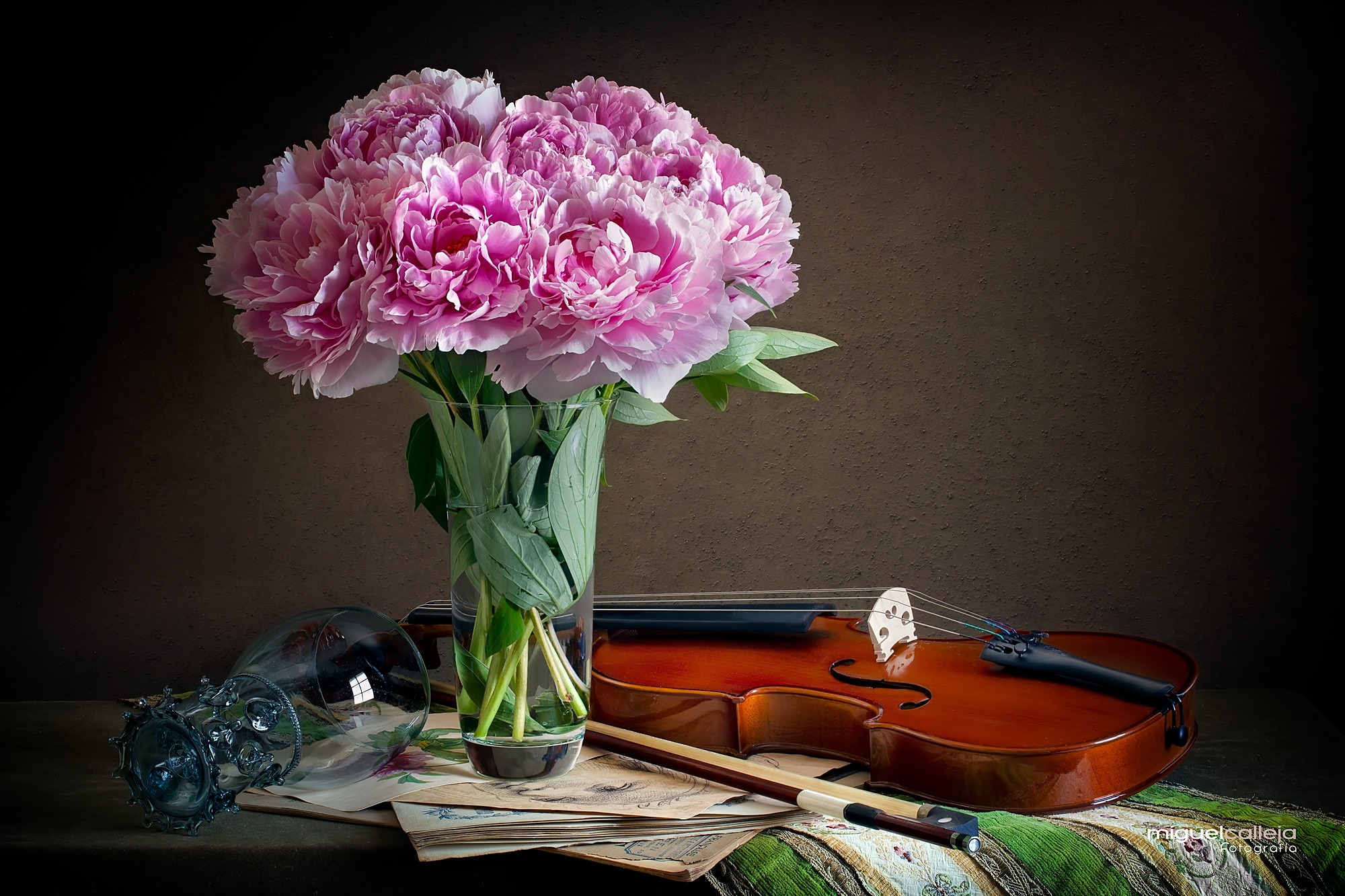 Download mobile wallpaper Music, Still Life, Peony, Violin for free.