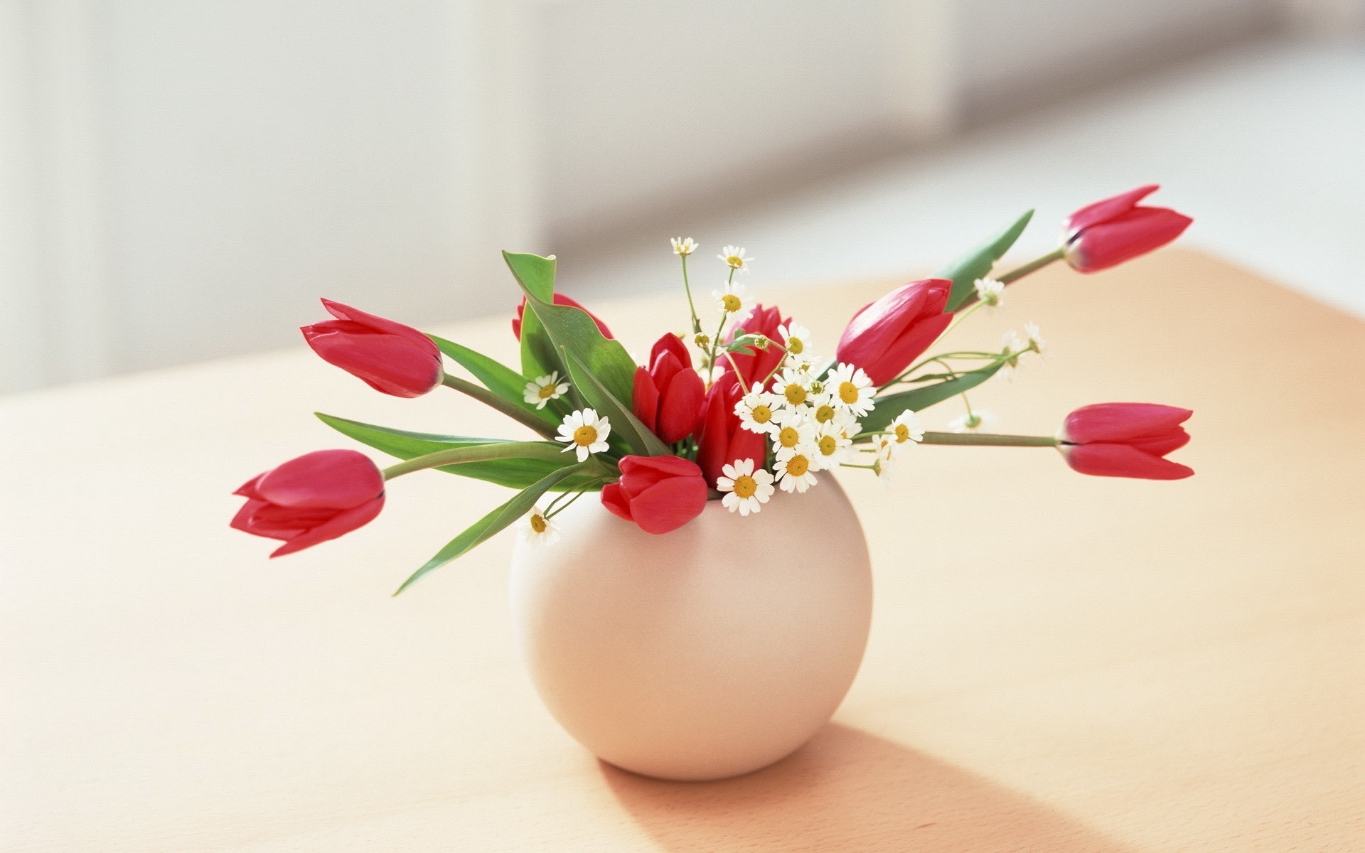 tulips, plants, flowers, bouquets Panoramic Wallpaper