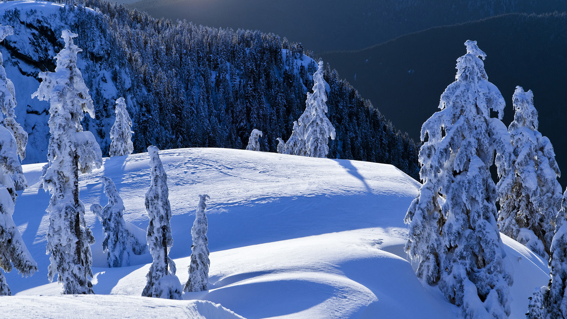 Free download wallpaper Winter, Earth on your PC desktop