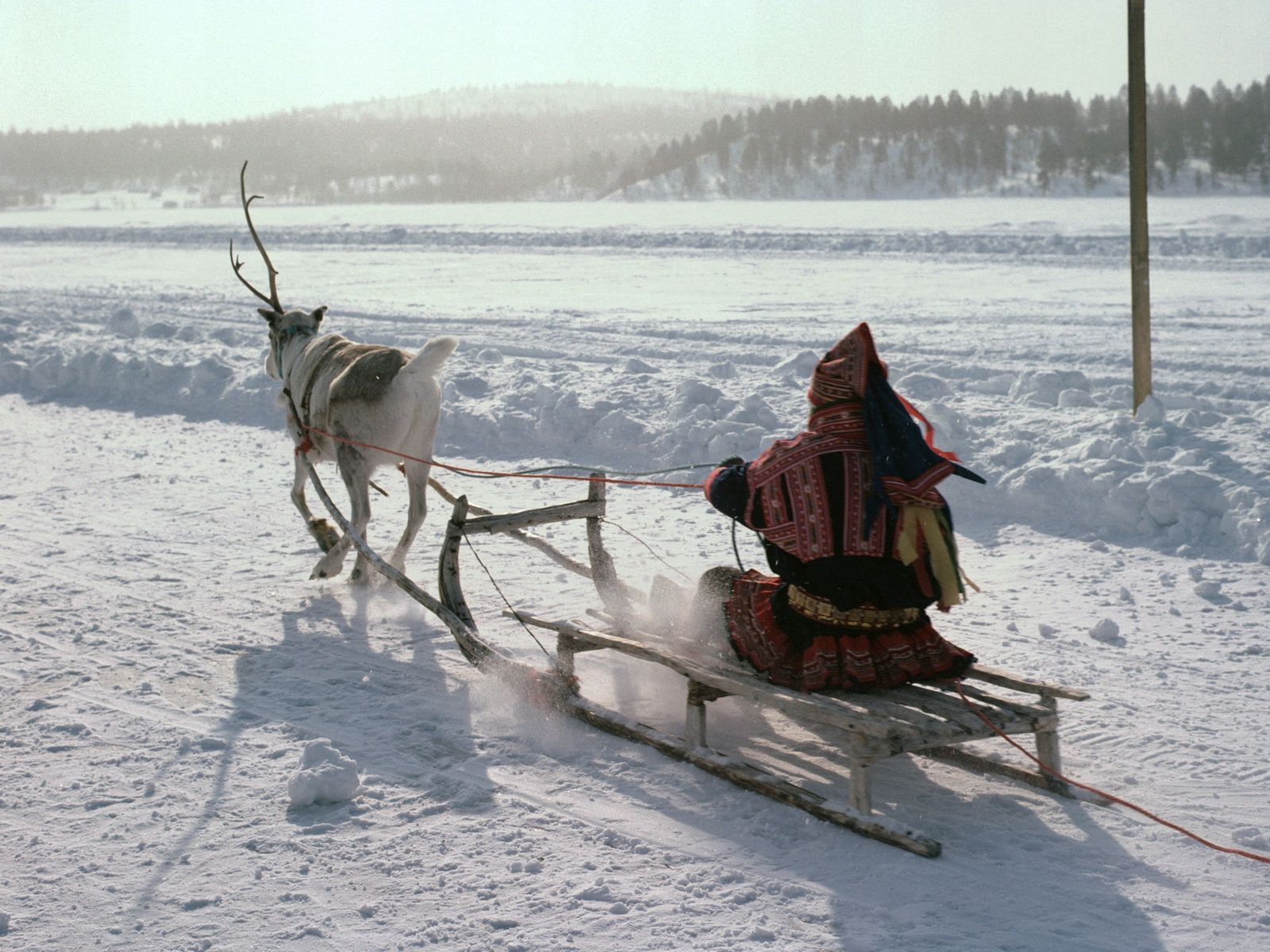 125589 скачать обои транспорт, природа, снег, олень, сани, северный полюс, эскимос - заставки и картинки бесплатно