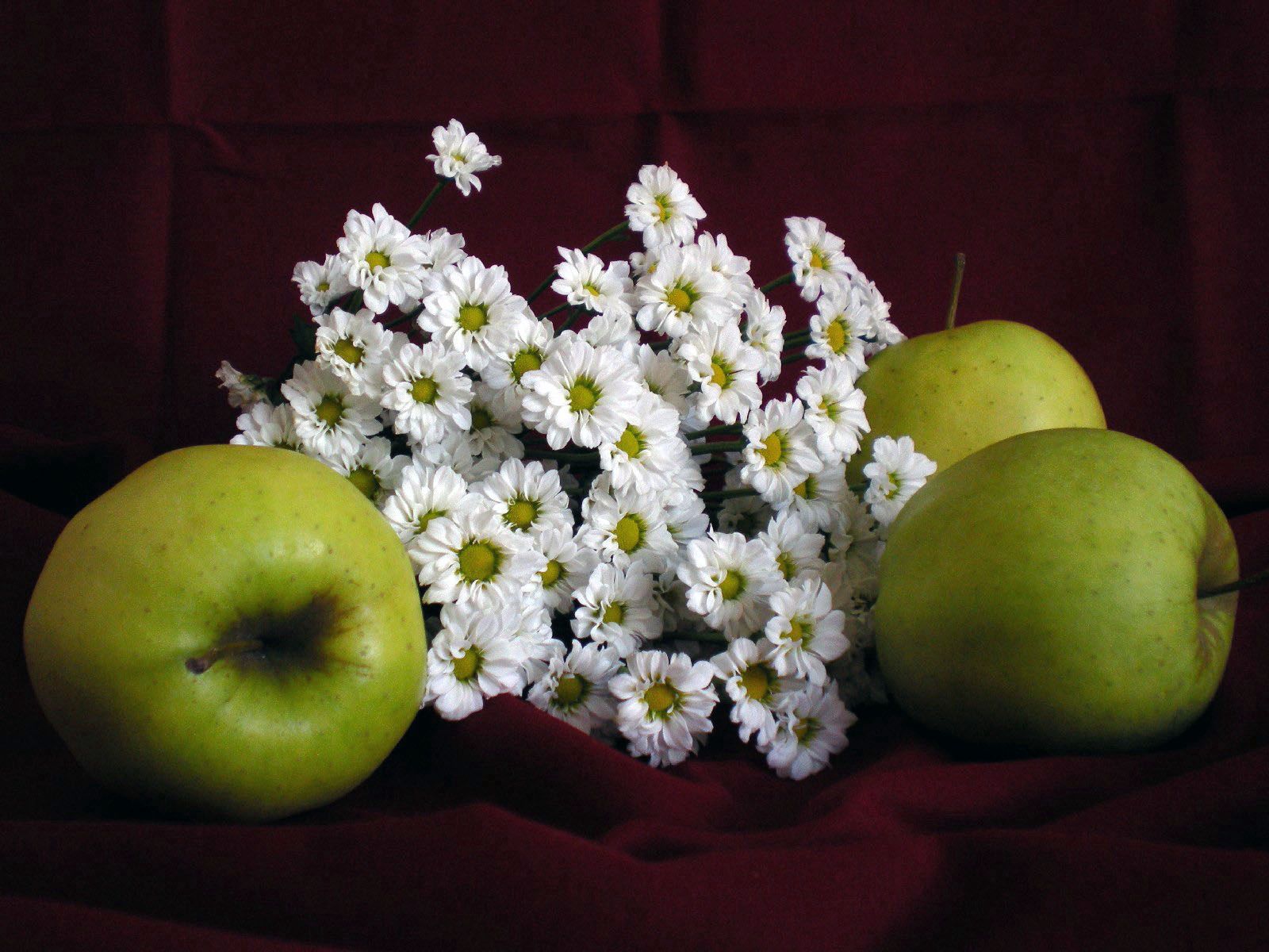 fruits, flowers, food, apples, camomile