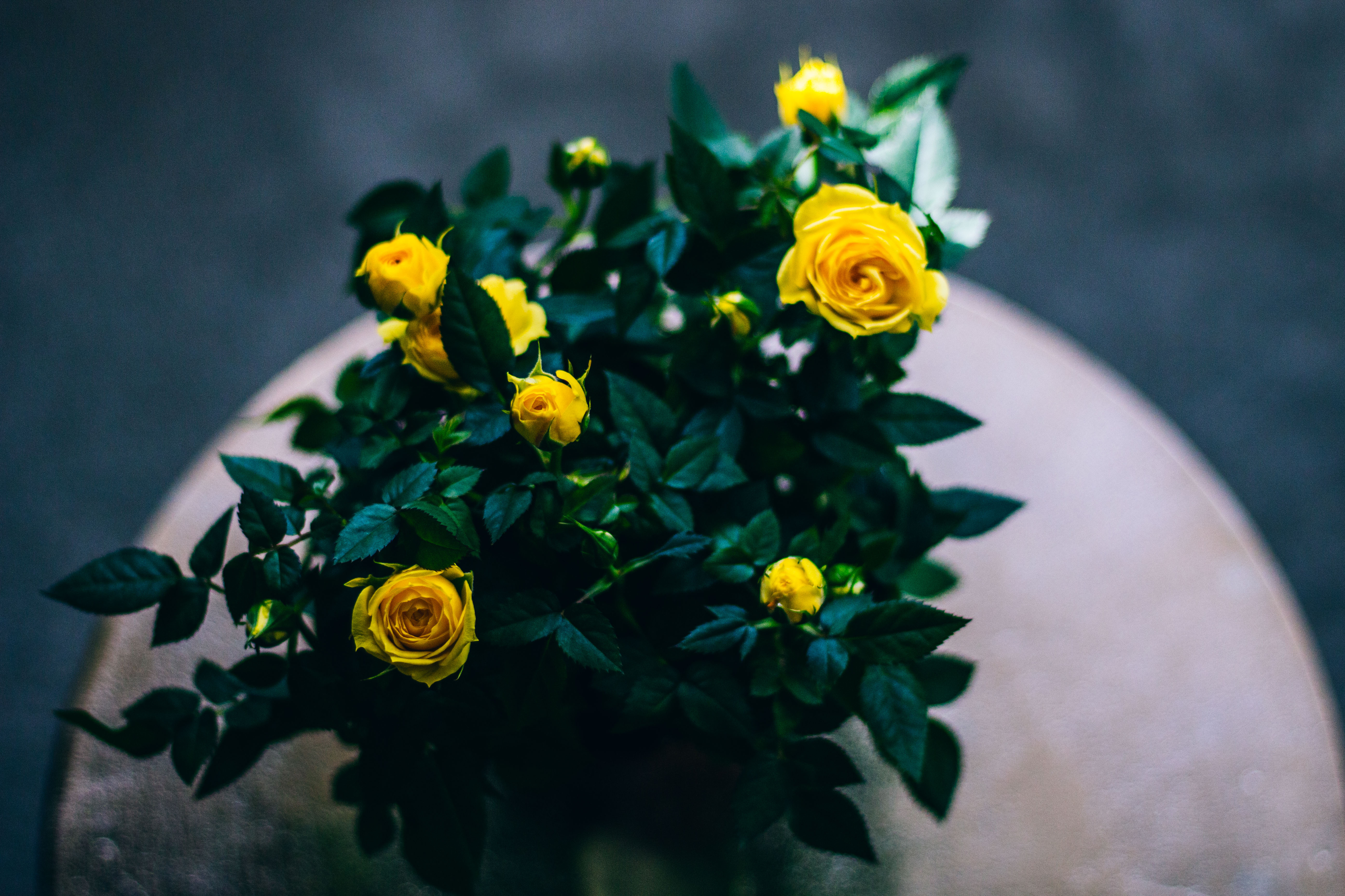 flowers, roses, bouquet, buds HD for desktop 1080p