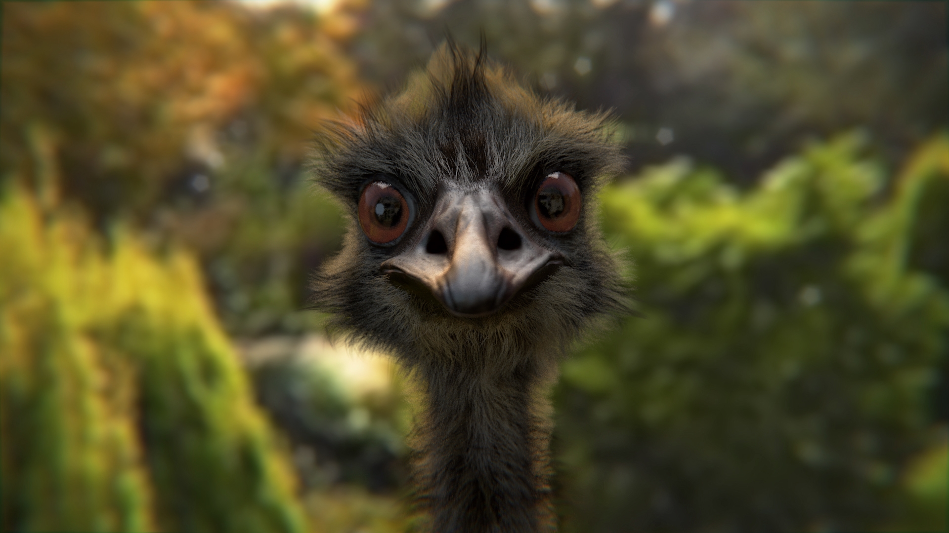 331327 Bild herunterladen tiere, emu, vögel - Hintergrundbilder und Bildschirmschoner kostenlos