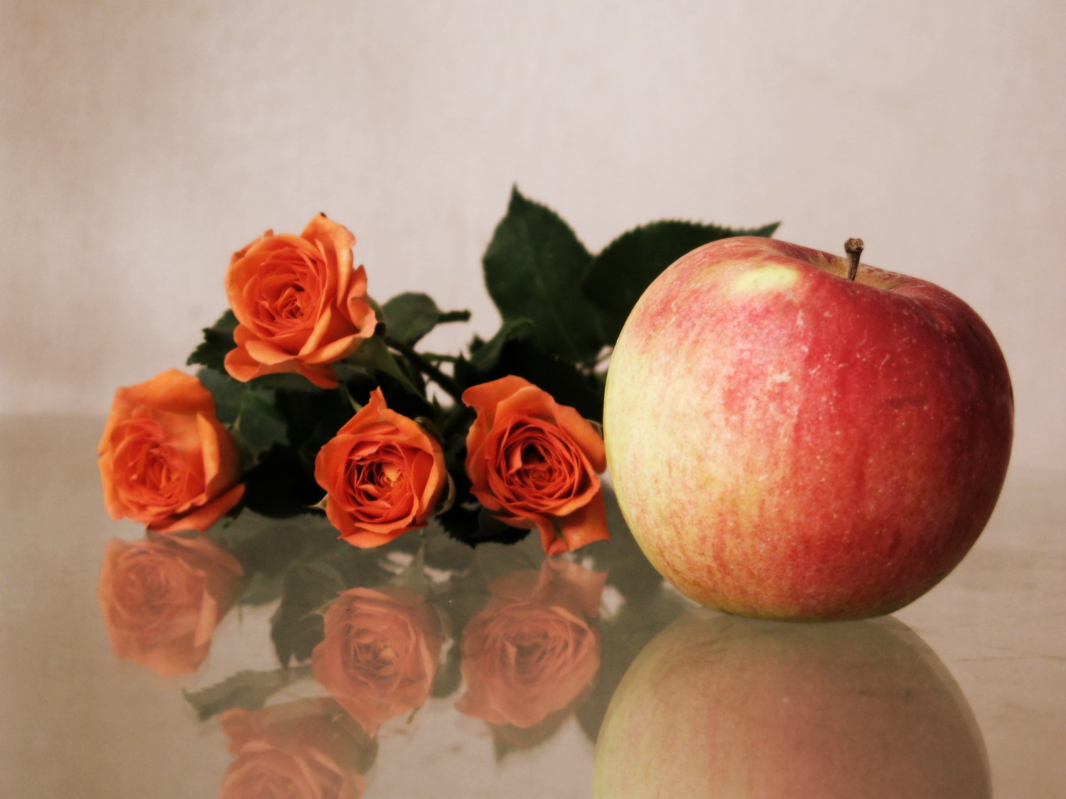 Download mobile wallpaper Reflection, Flowers, Bouquet, Roses, Apple for free.