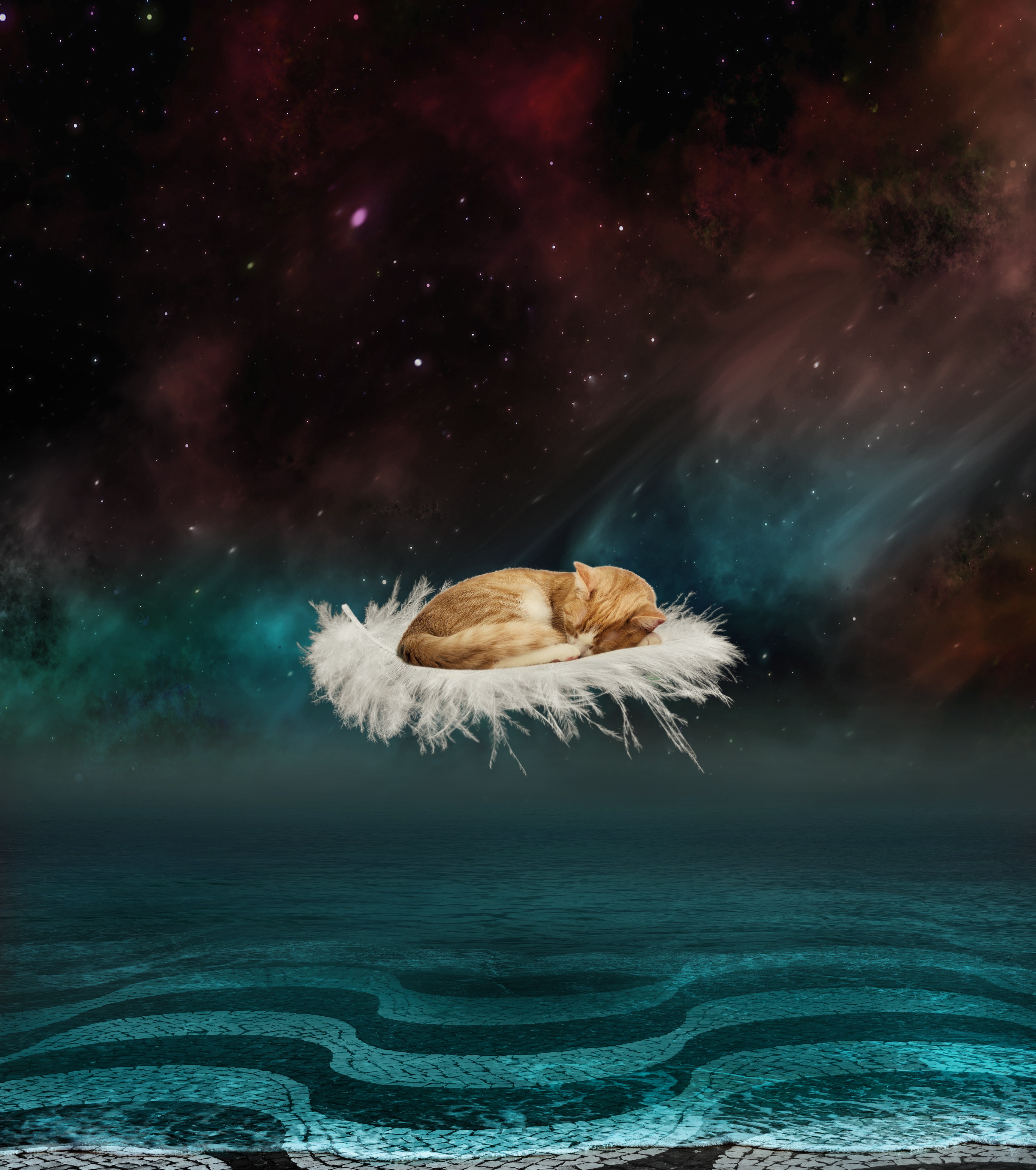 Download mobile wallpaper Animals, Pen, Flight, Cat, Photoshop, Feather, Fantasy for free.