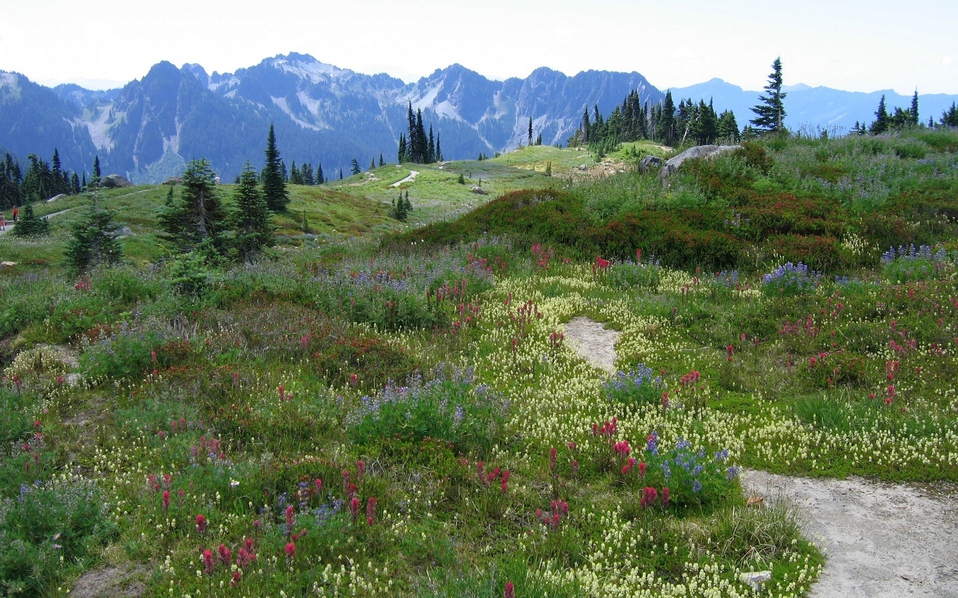 PCデスクトップに草, 山脈, 風景画像を無料でダウンロード