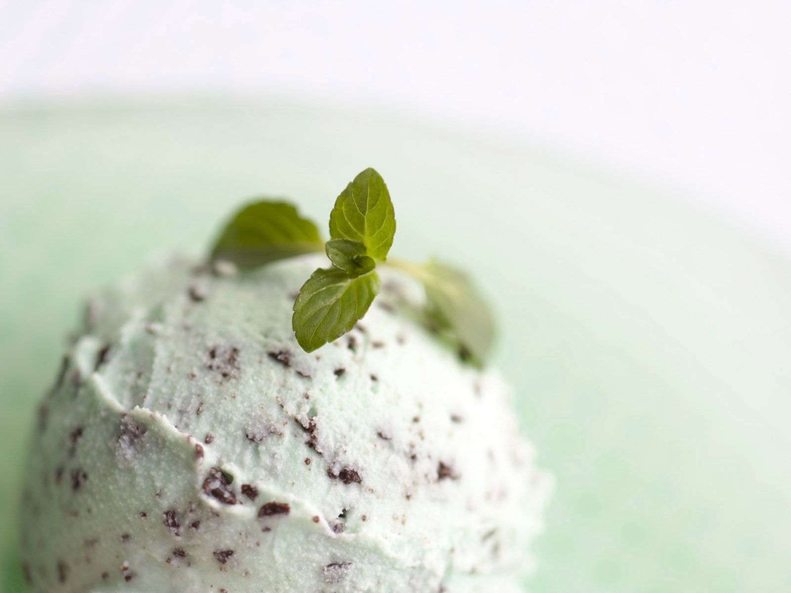 mint, ice cream, food, white, green, macro 32K