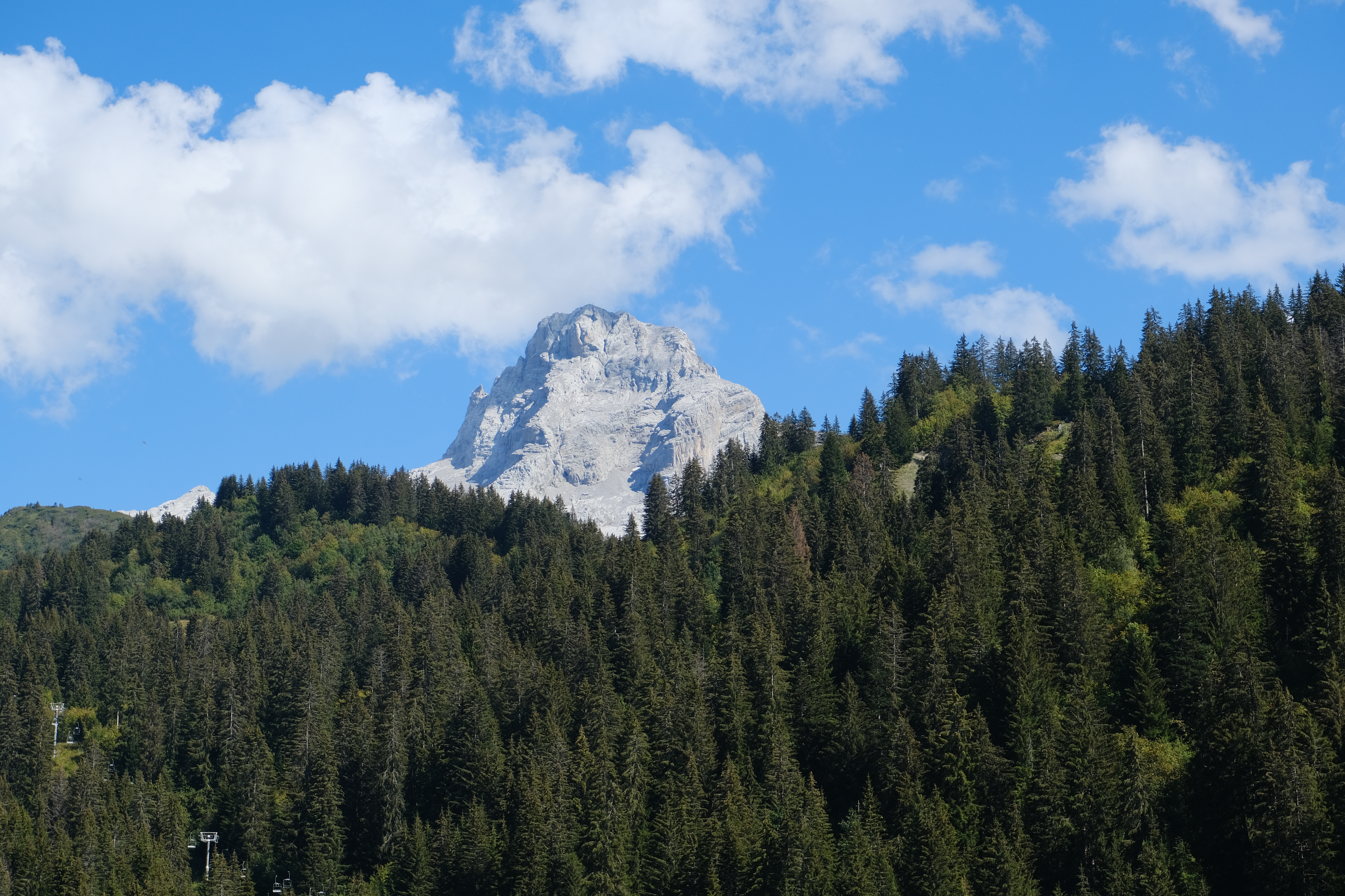 Descarga gratis la imagen Naturaleza, Árboles, Nieve, Montaña, Bosque, Paisaje en el escritorio de tu PC
