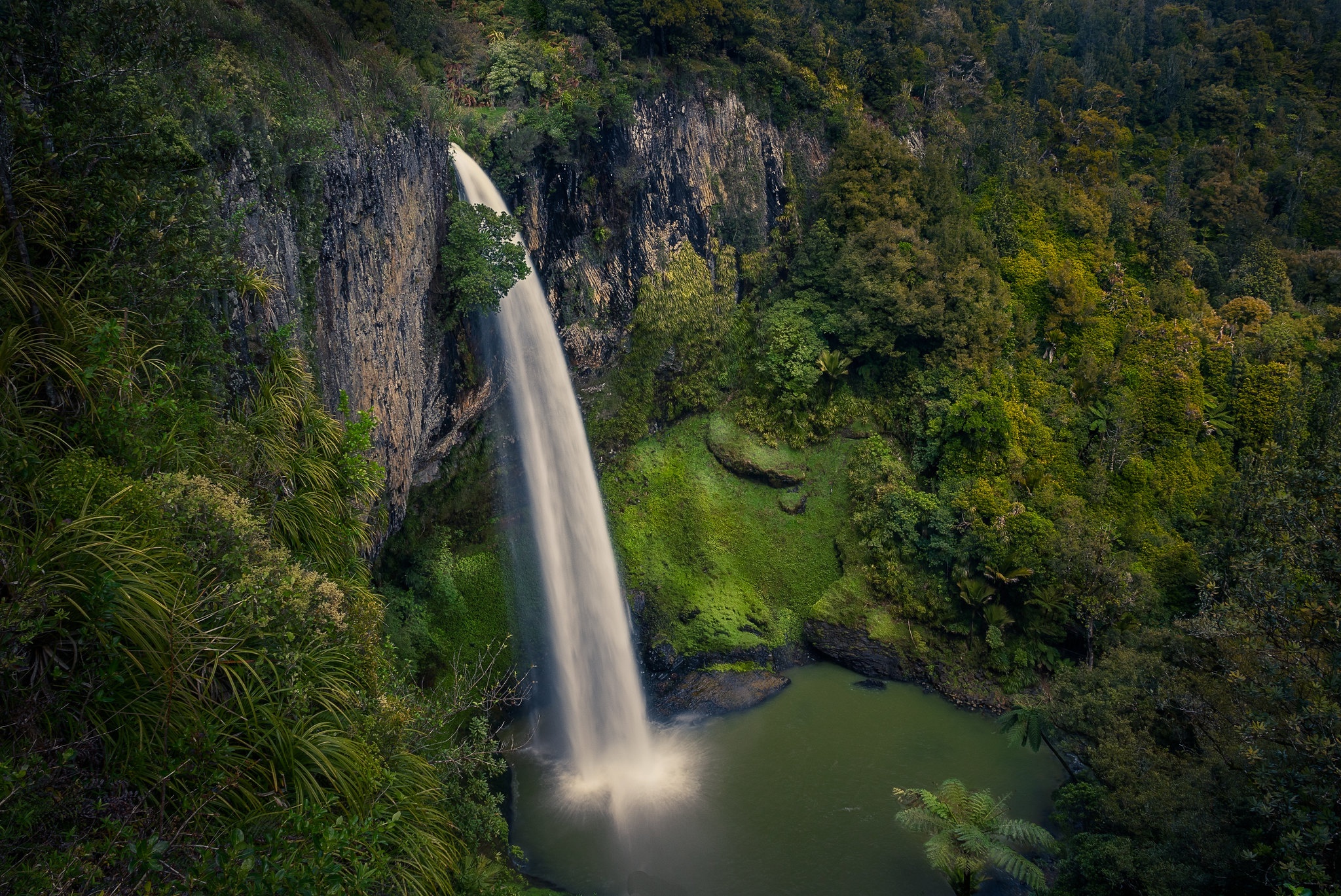 Handy-Wallpaper Wasserfälle, Neuseeland, Wasserfall, Wald, Fluss, Strom, Erde/natur kostenlos herunterladen.
