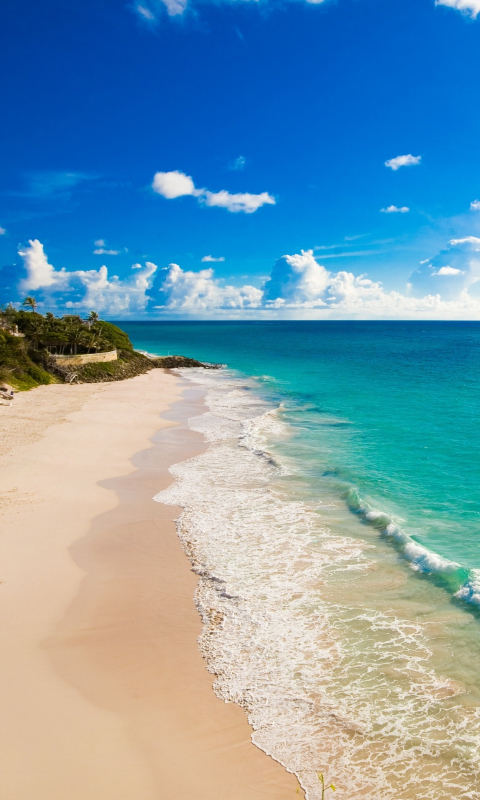 Download mobile wallpaper Sea, Beach, Horizon, Ocean, Earth, Tropical for free.