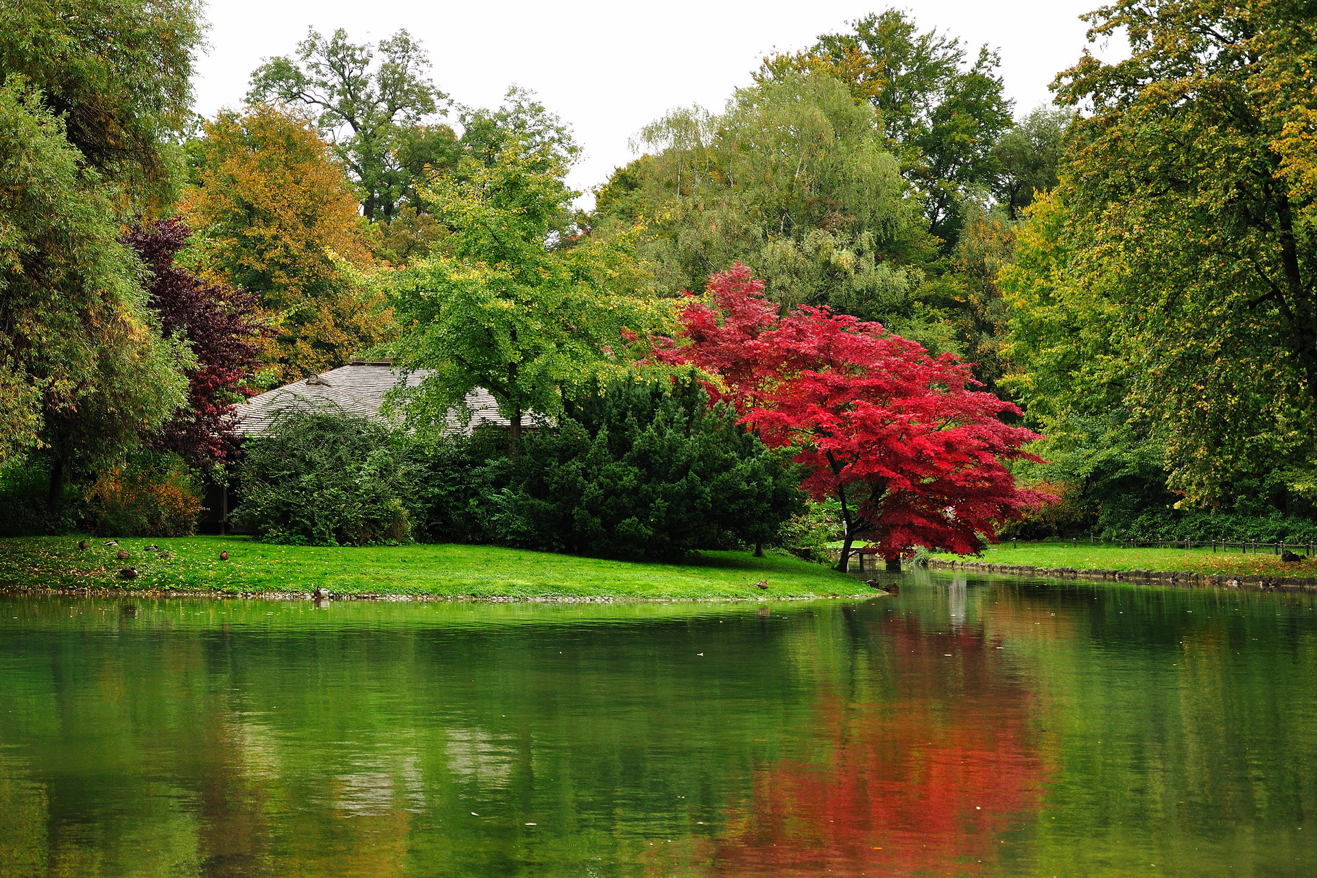 PCデスクトップに秋, 湖, 公園, 風光明媚な, マンメイド画像を無料でダウンロード