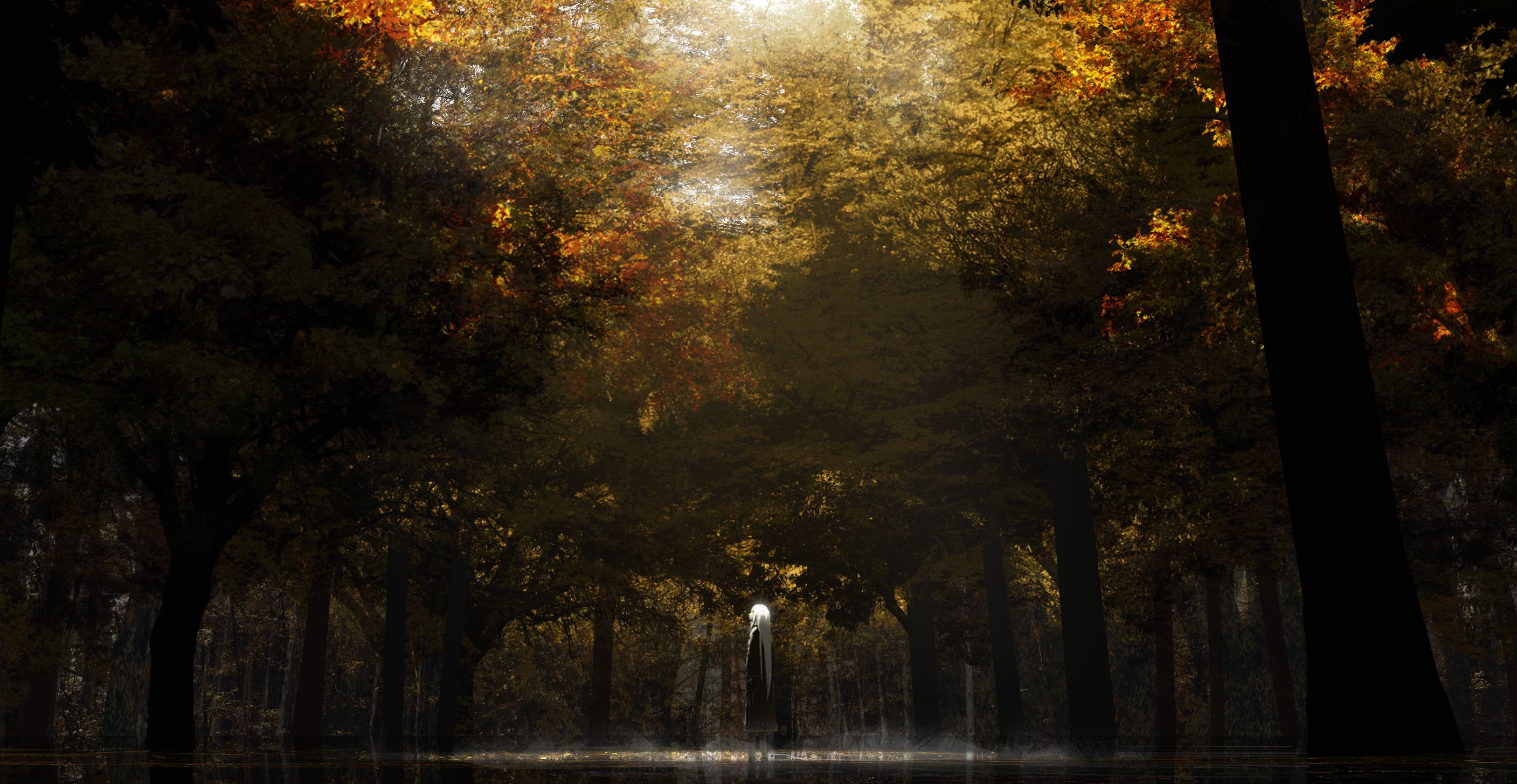 Free download wallpaper Anime, Landscape, Forest on your PC desktop
