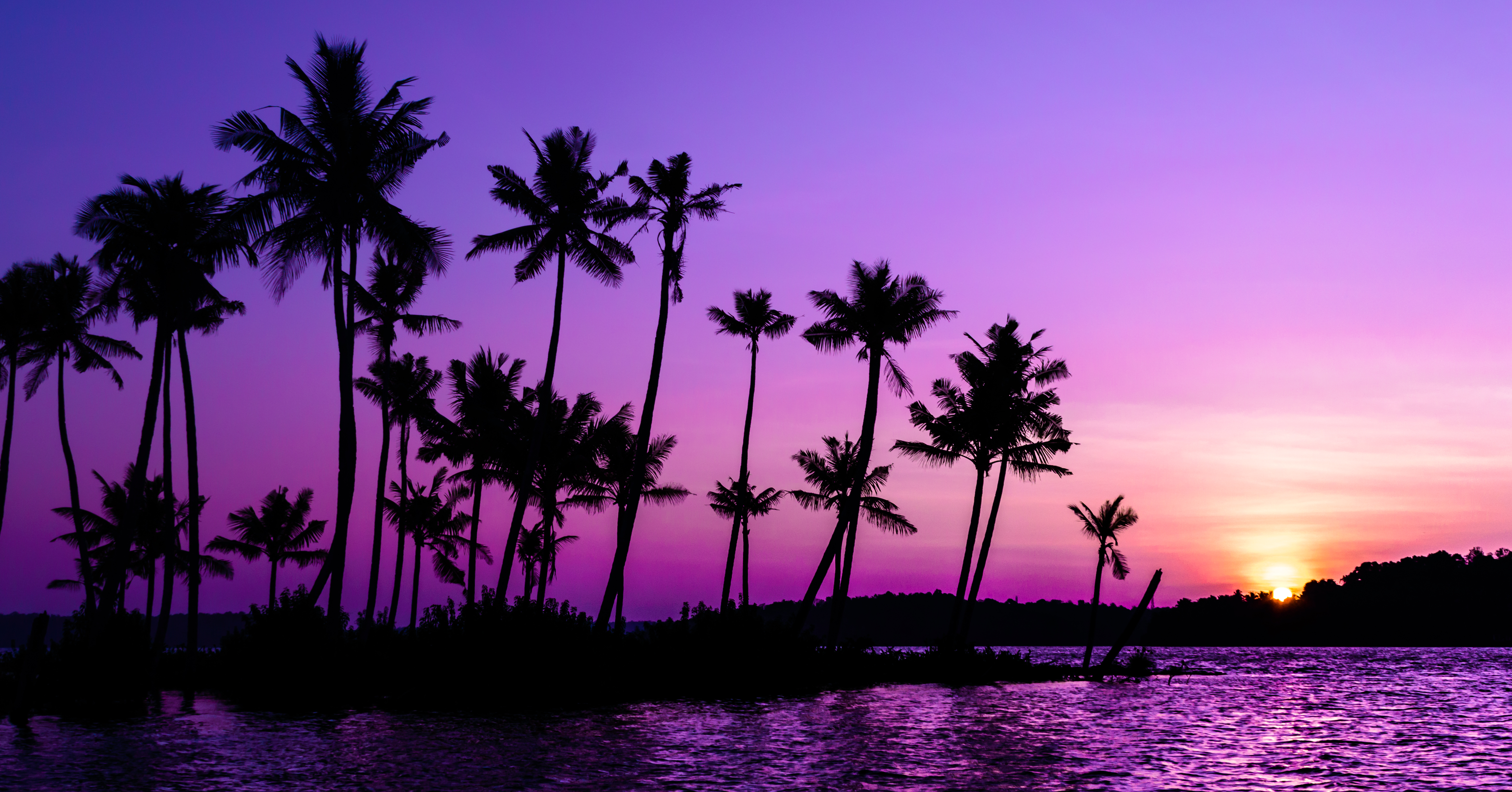61096 скачать картинку закат, фиолетовый, природа, пальмы, силуэт - обои и заставки бесплатно