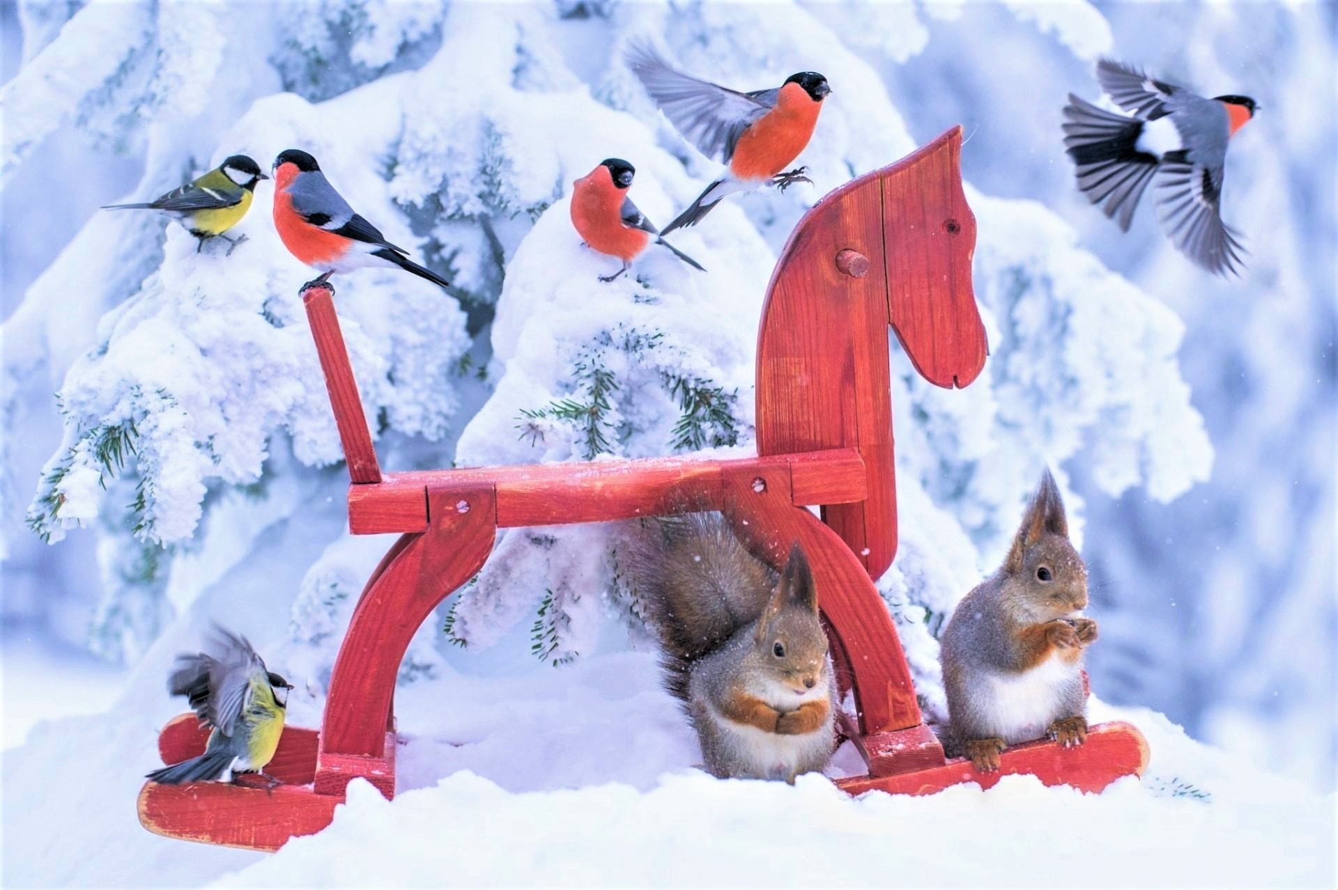 426989 Hintergrundbild herunterladen tiere, gimpel, vogel, schaukelpferd, schnee, eichhörnchen, winter, vögel - Bildschirmschoner und Bilder kostenlos
