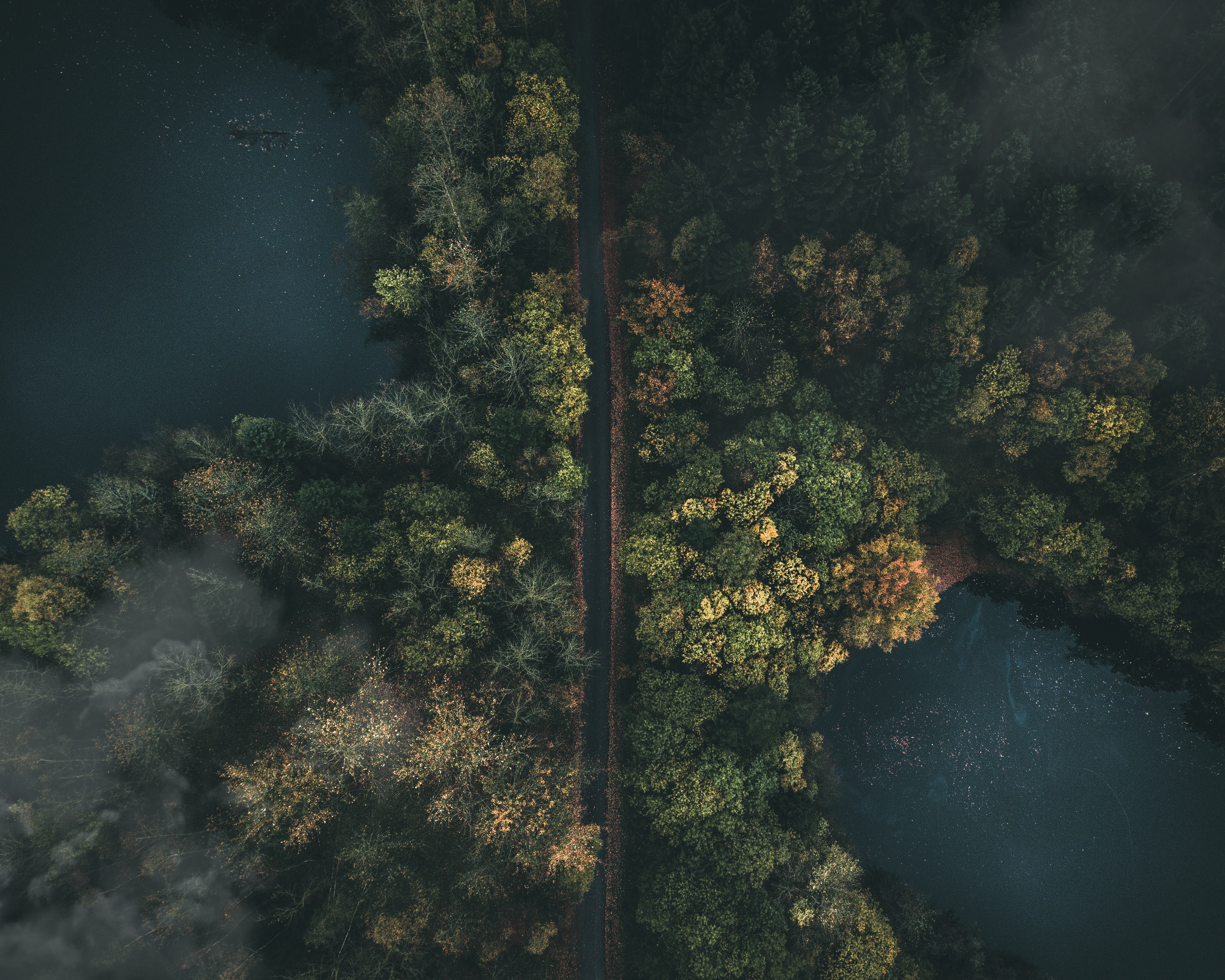 Download background view from above, nature, road, forest, fog