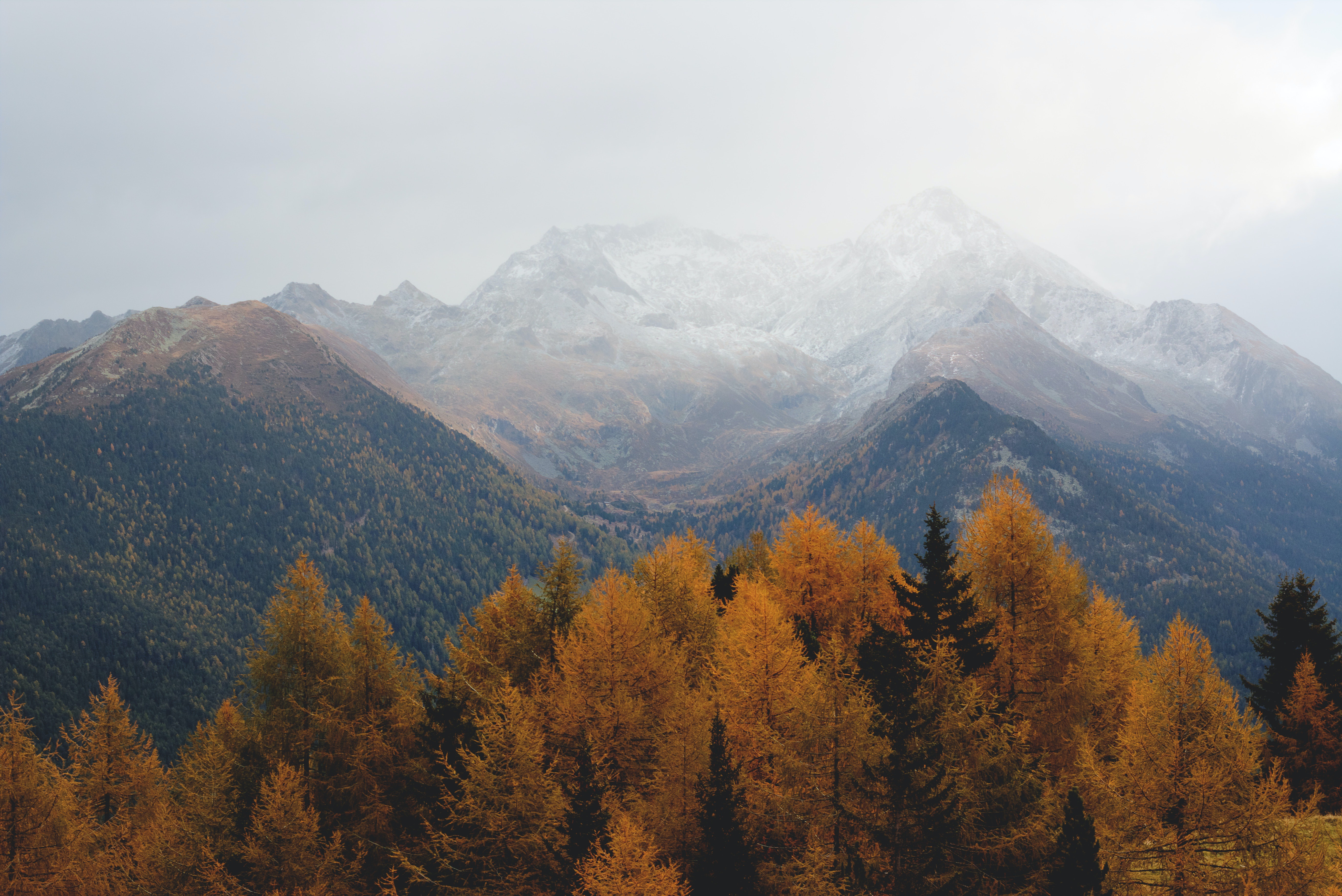 Handy-Wallpaper Herbst, Wald, Nebel, Gebirge, Berge, Erde/natur kostenlos herunterladen.