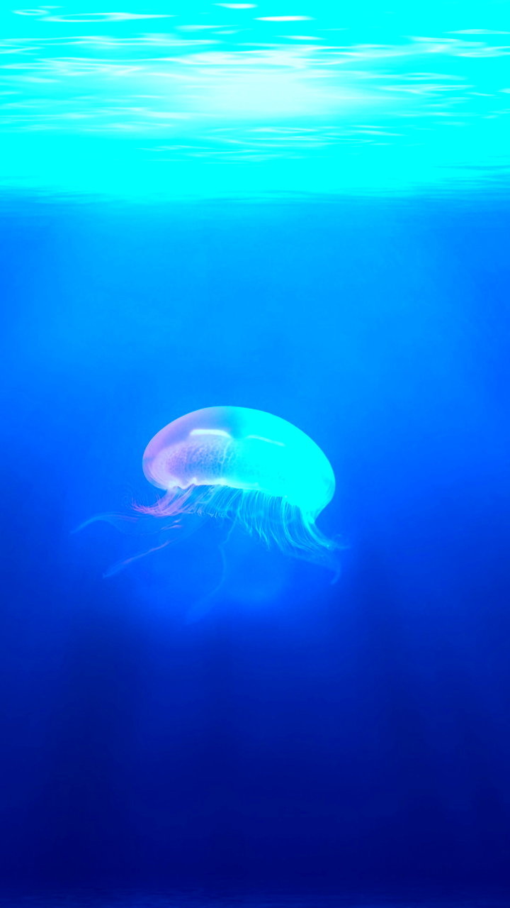 Download mobile wallpaper Jellyfish, Fishes, Ocean, Animal, Underwater, Sunbeam, Sunbean for free.