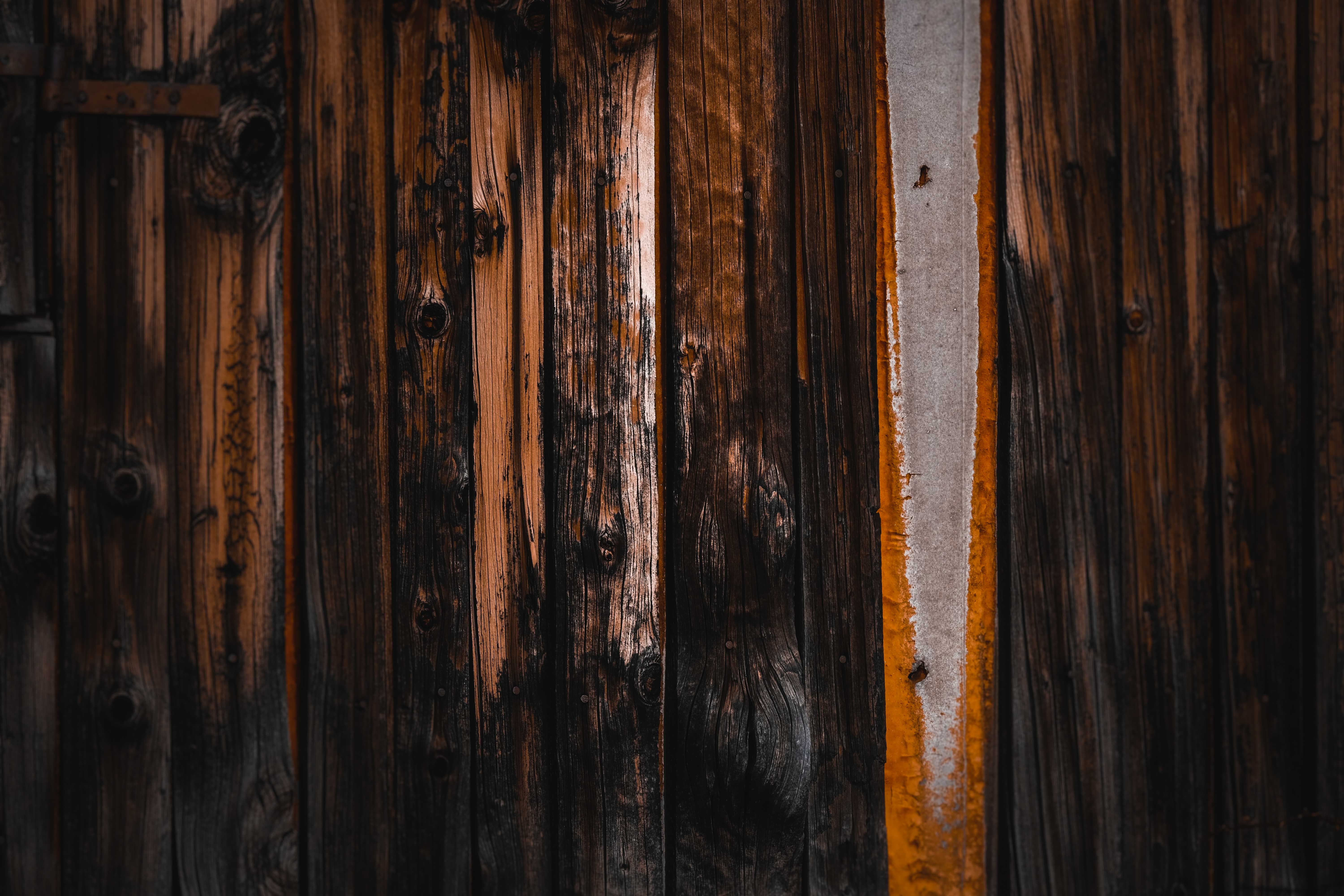Download mobile wallpaper Wooden, Wood, Tree, Surface, Texture, Textures for free.