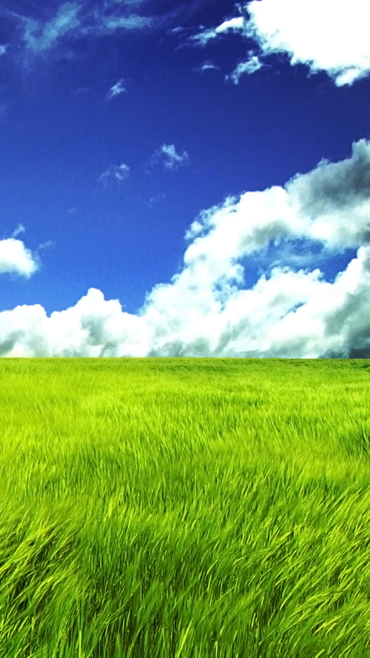 Download mobile wallpaper Grass, Earth for free.