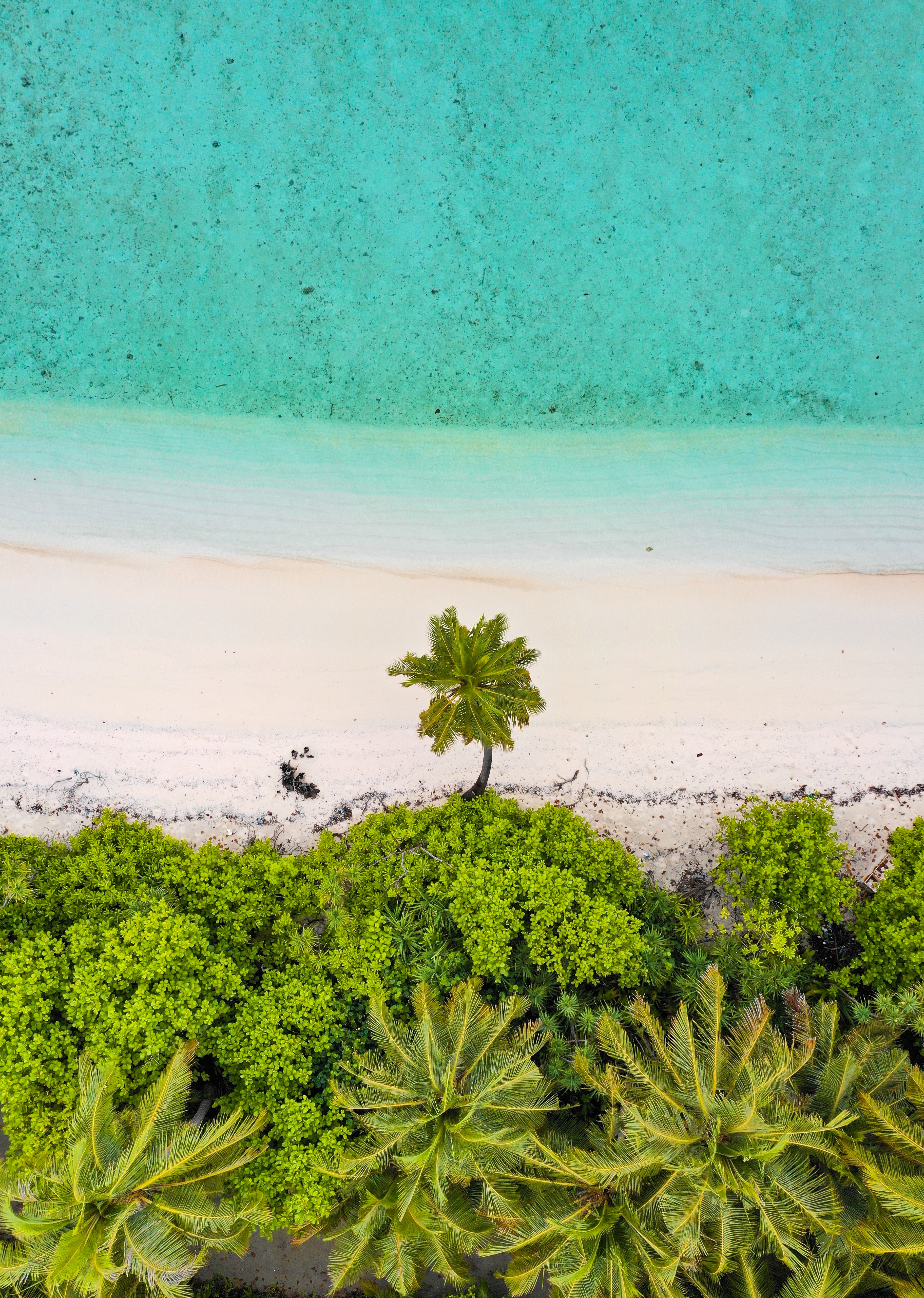 Laden Sie das Sand, Blick Von Oben, Natur, Sea, Palms, Strand-Bild kostenlos auf Ihren PC-Desktop herunter