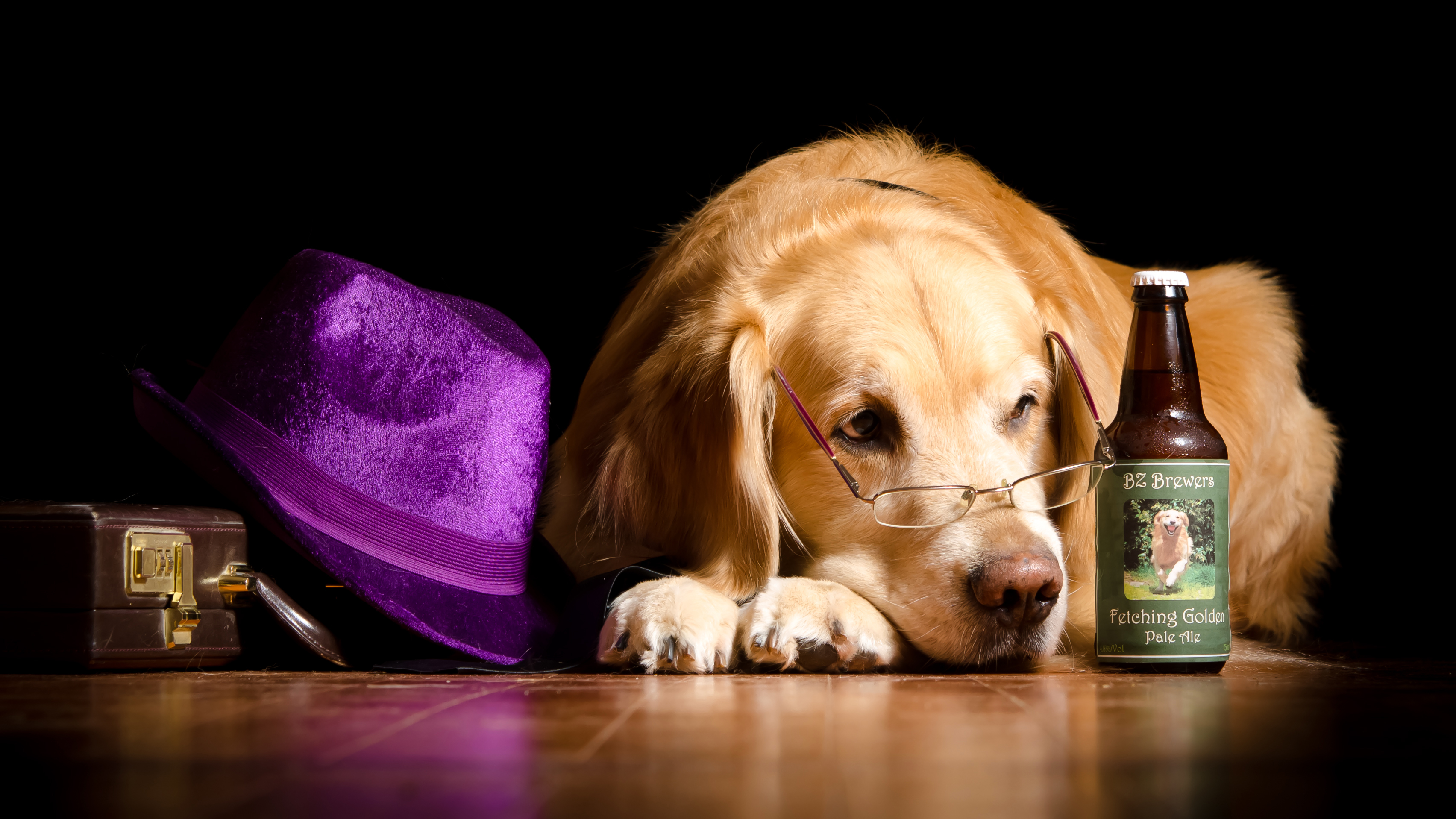 Download mobile wallpaper Dogs, Dog, Animal, Golden Retriever, Glasses, Hat, Bottle for free.