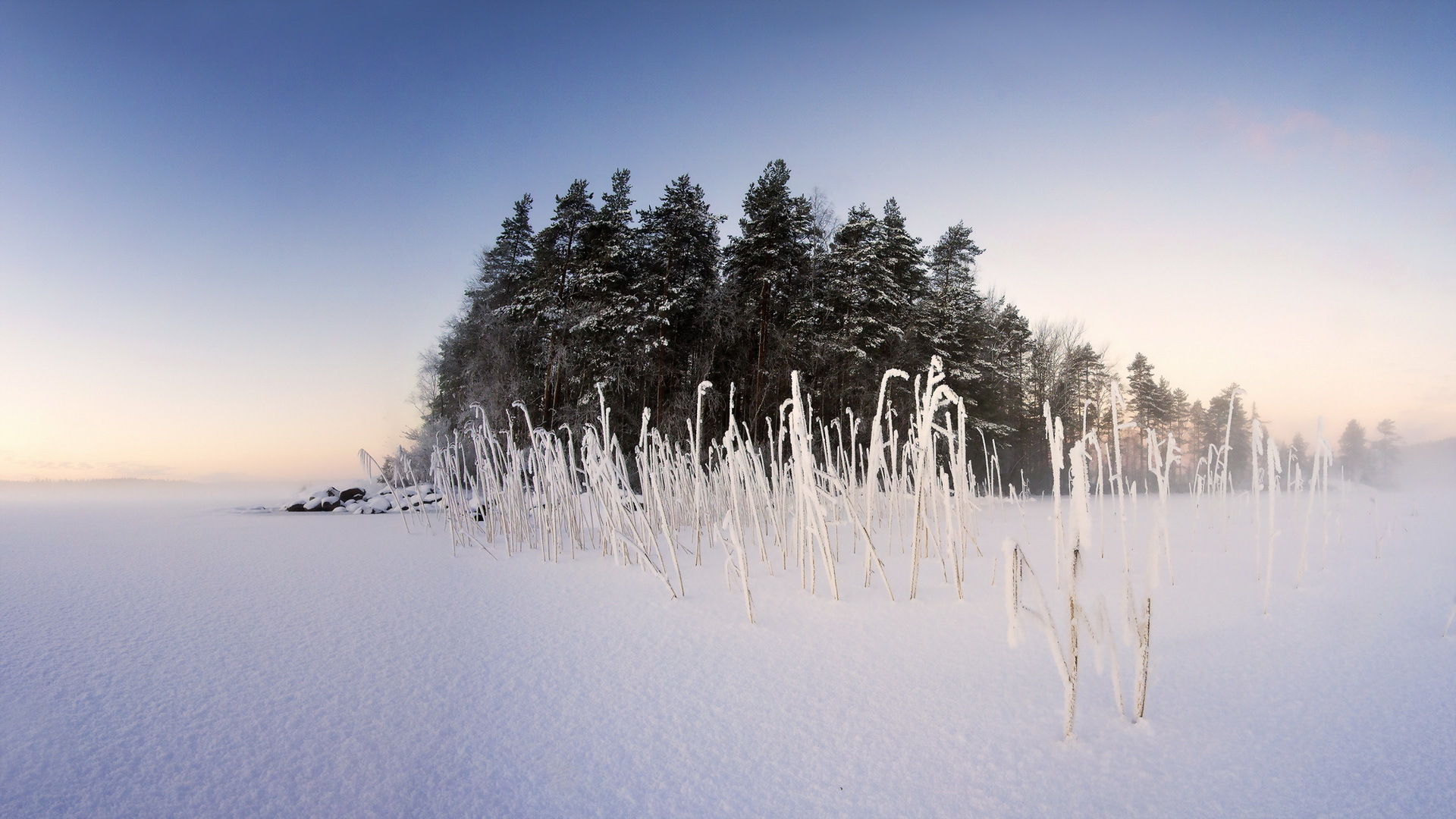 Laden Sie das Winter, Natur, Kiefer, Schnee, Erde/natur-Bild kostenlos auf Ihren PC-Desktop herunter