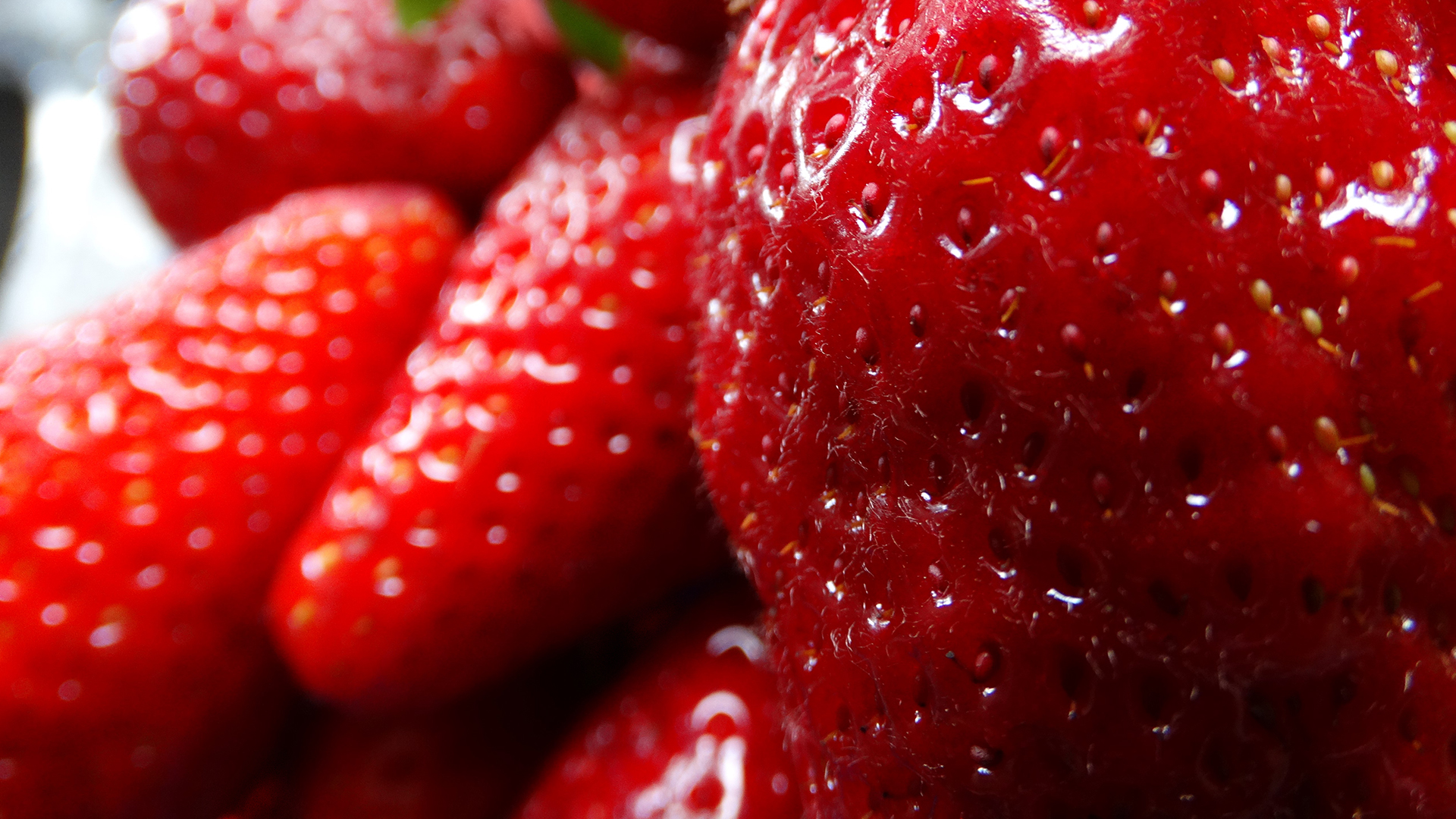 Téléchargez gratuitement l'image Fraise, Des Fruits, Nourriture sur le bureau de votre PC