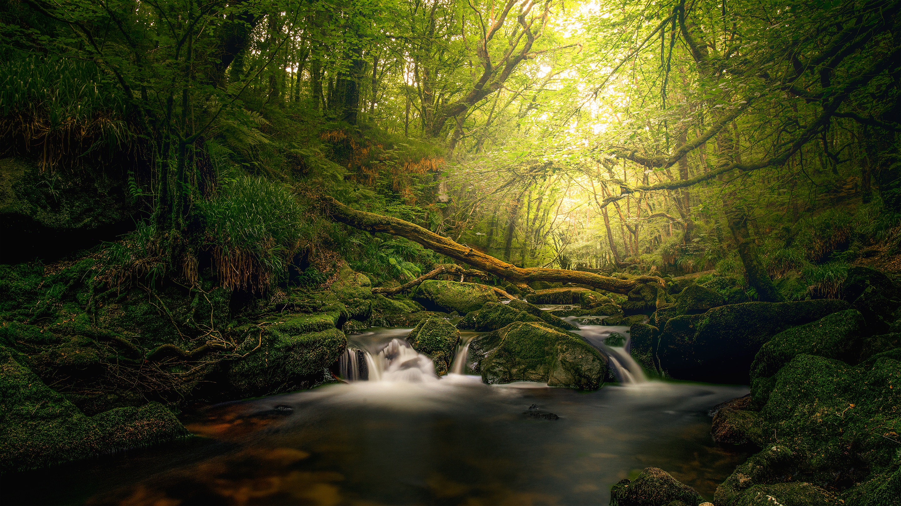 Скачать картинку Природа, Река, Водопад, Лес, Зелень, Земля/природа в телефон бесплатно.