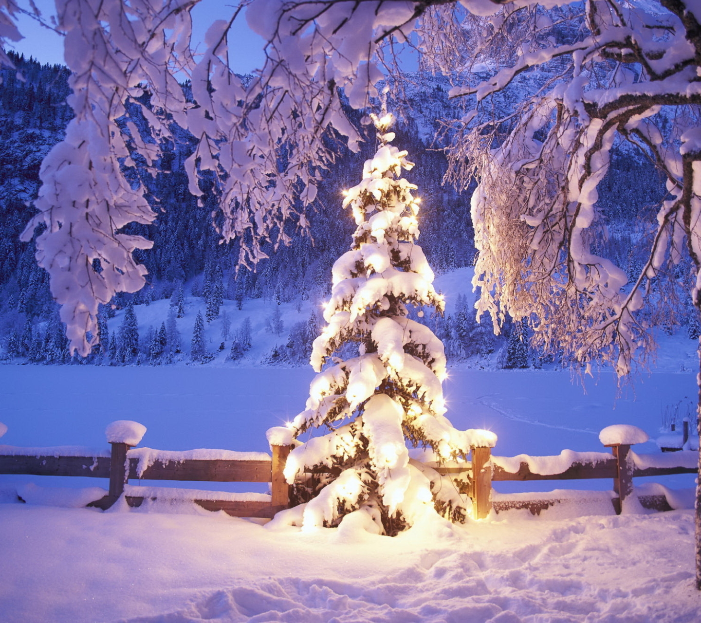 Download mobile wallpaper Christmas, Holiday, Christmas Tree, Christmas Lights for free.