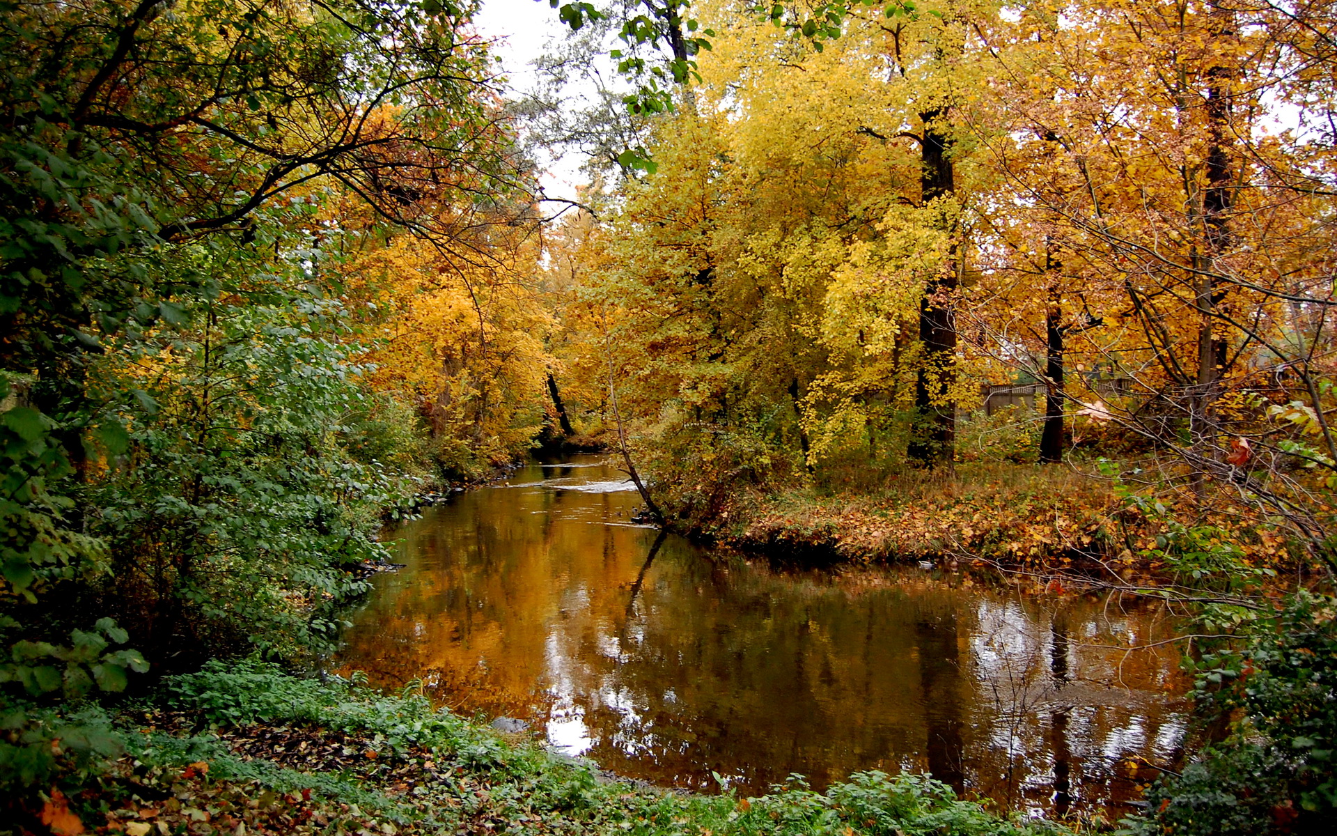 Free download wallpaper Landscape, Forest, Fall, Earth, Stream, River, Scenic on your PC desktop