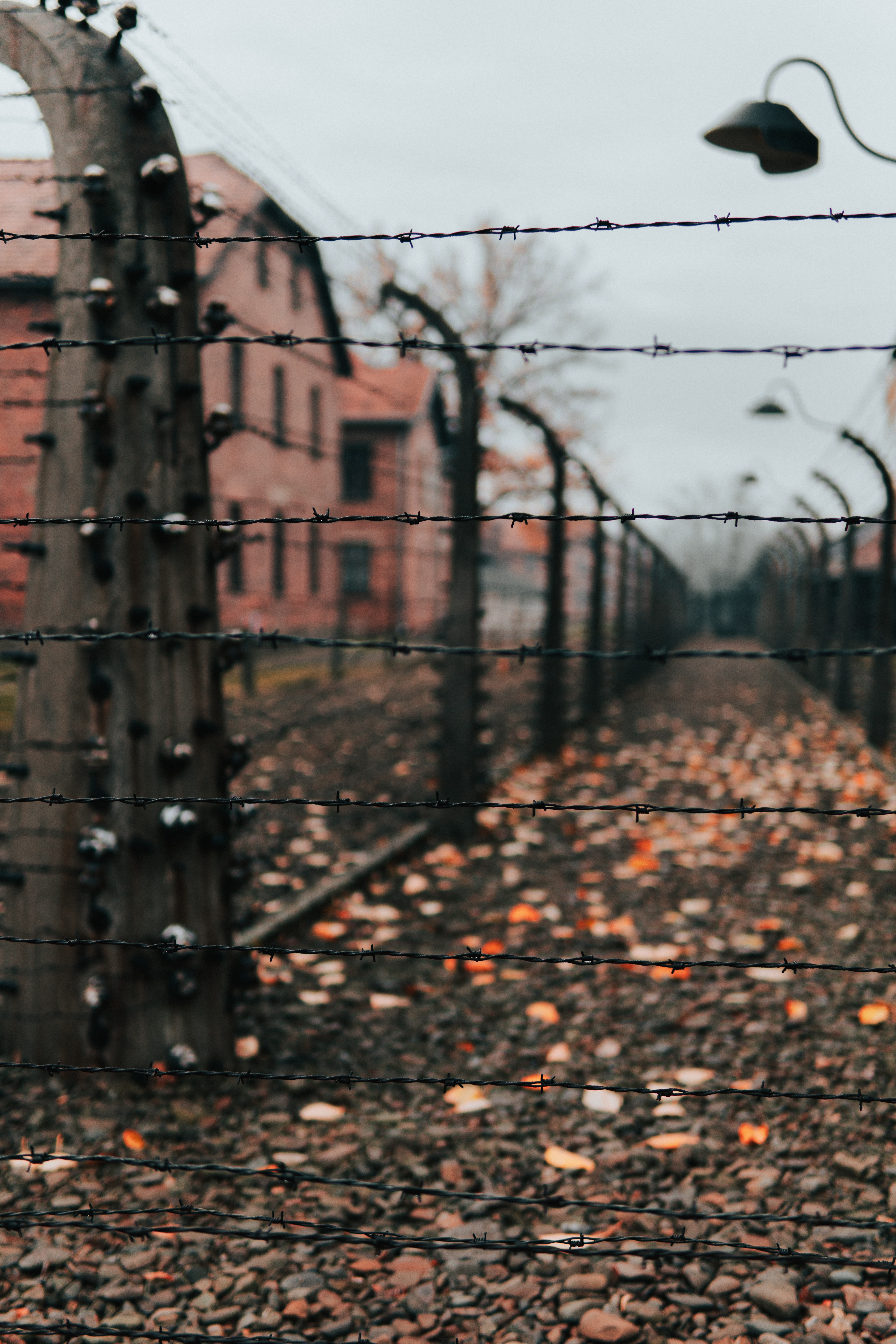 miscellanea, miscellaneous, fence, thorns, spikes, wire, barbed wire Full HD
