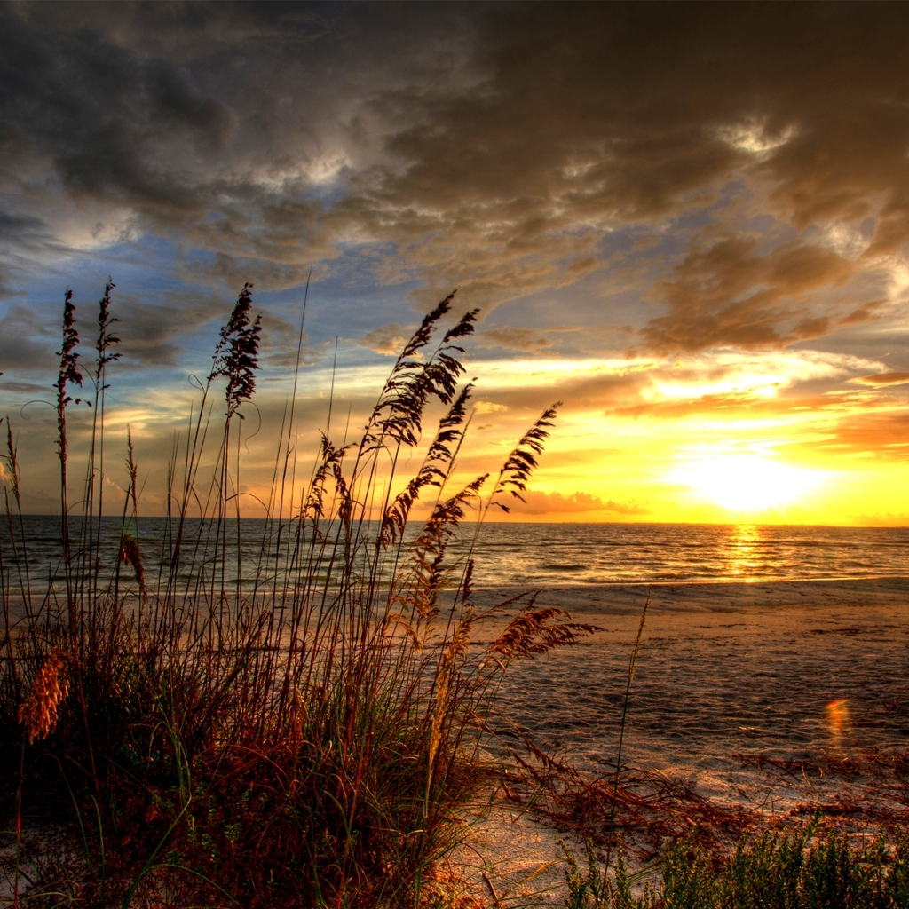 Laden Sie das Landschaft, Strand, Sand, Ozean, Sonnenaufgang, Hdr, Wolke, Szene, Sonne, Szenisch, Erde/natur-Bild kostenlos auf Ihren PC-Desktop herunter